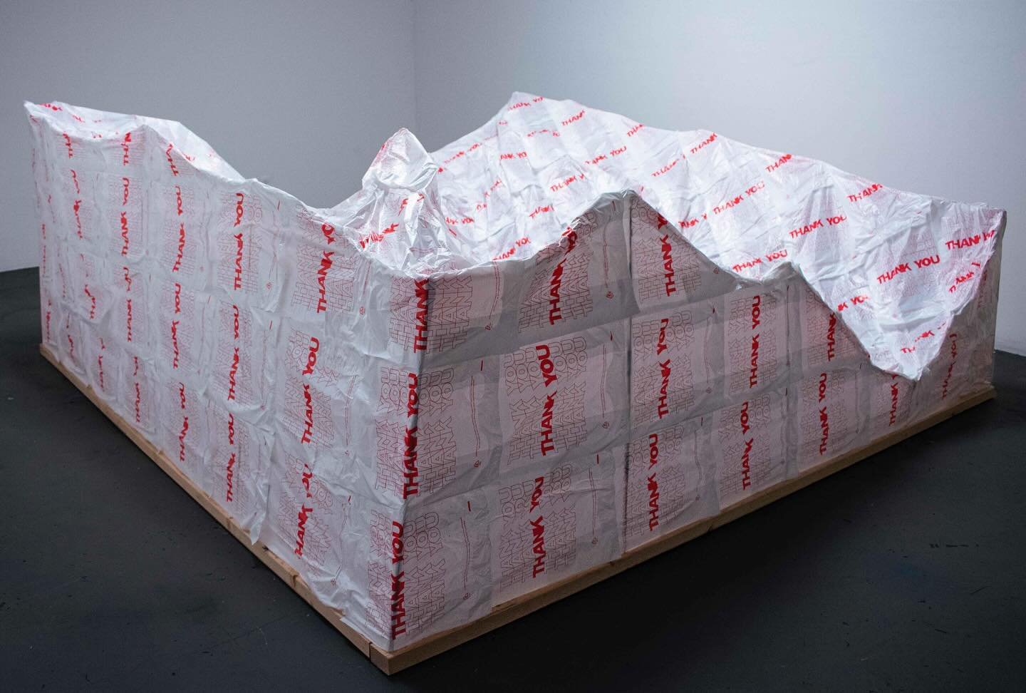 &lsquo;God Bless America&rsquo; is an installation artwork replicating an undisclosed American landscape with to-go plastic bags by CA-based artist, Chase Young (@chasetylery0ung). Young&rsquo;s work utilizes sound objects and imagery to reference ou