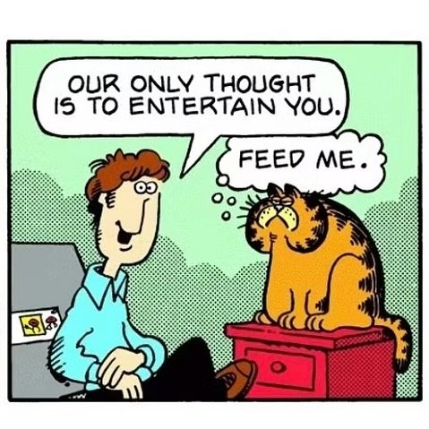 Jim Davis&rsquo; Garfield &amp; Jon over the years, from 1978 - 2024.