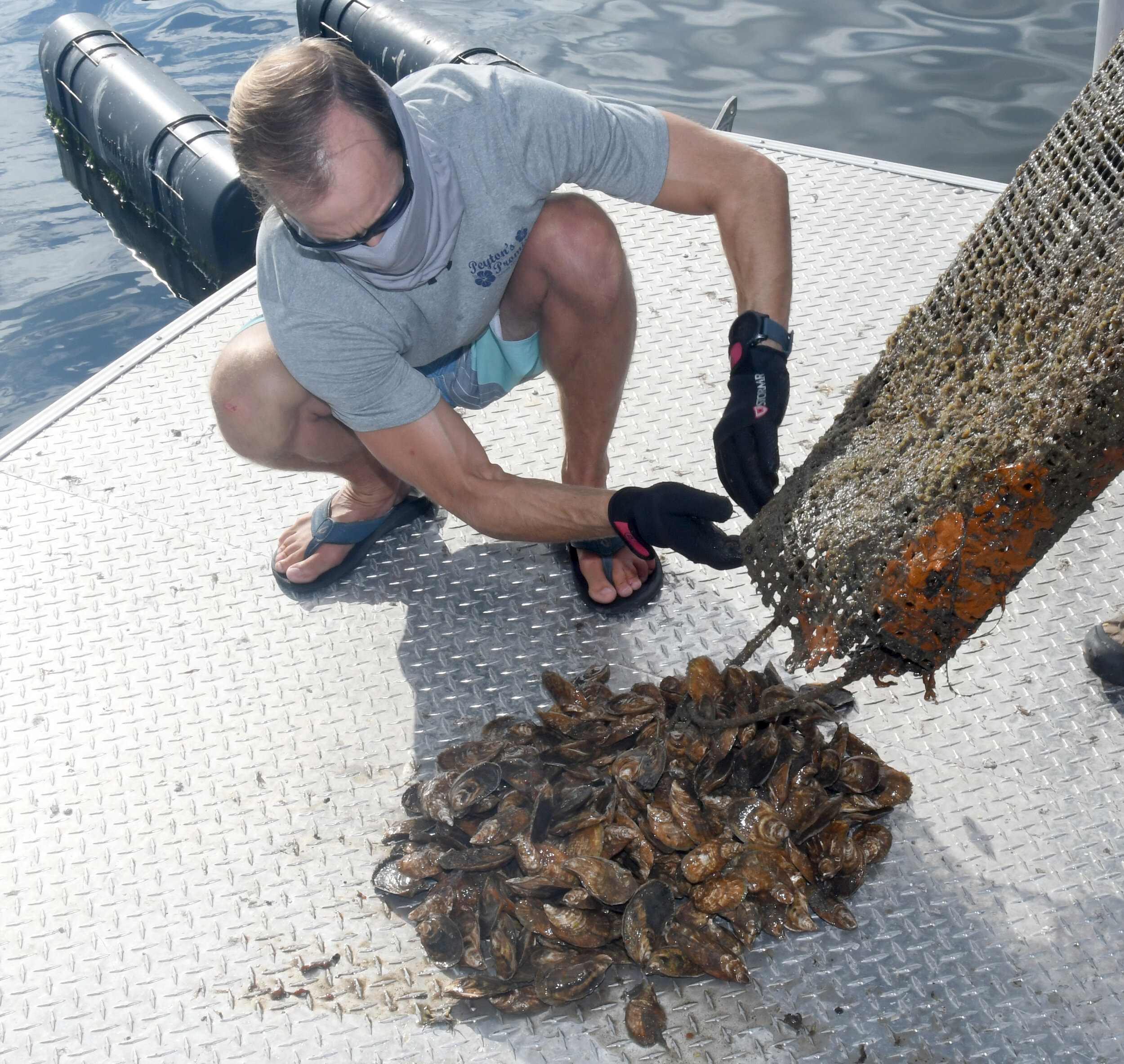 Dustin Laricks empties a cage on the boat’s deck with oysters started just about 13 months ago. 