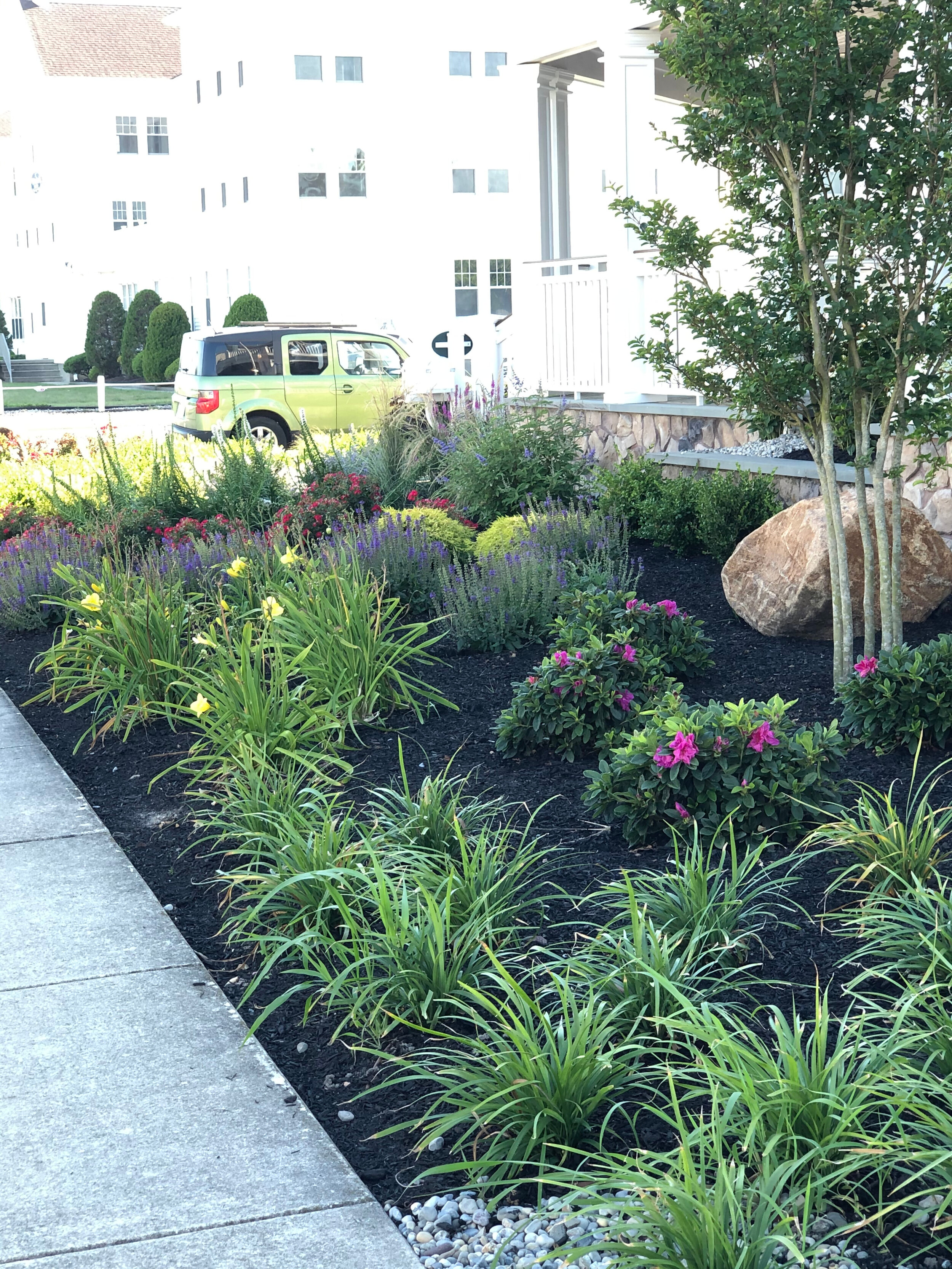 Water-reducing landscaping.