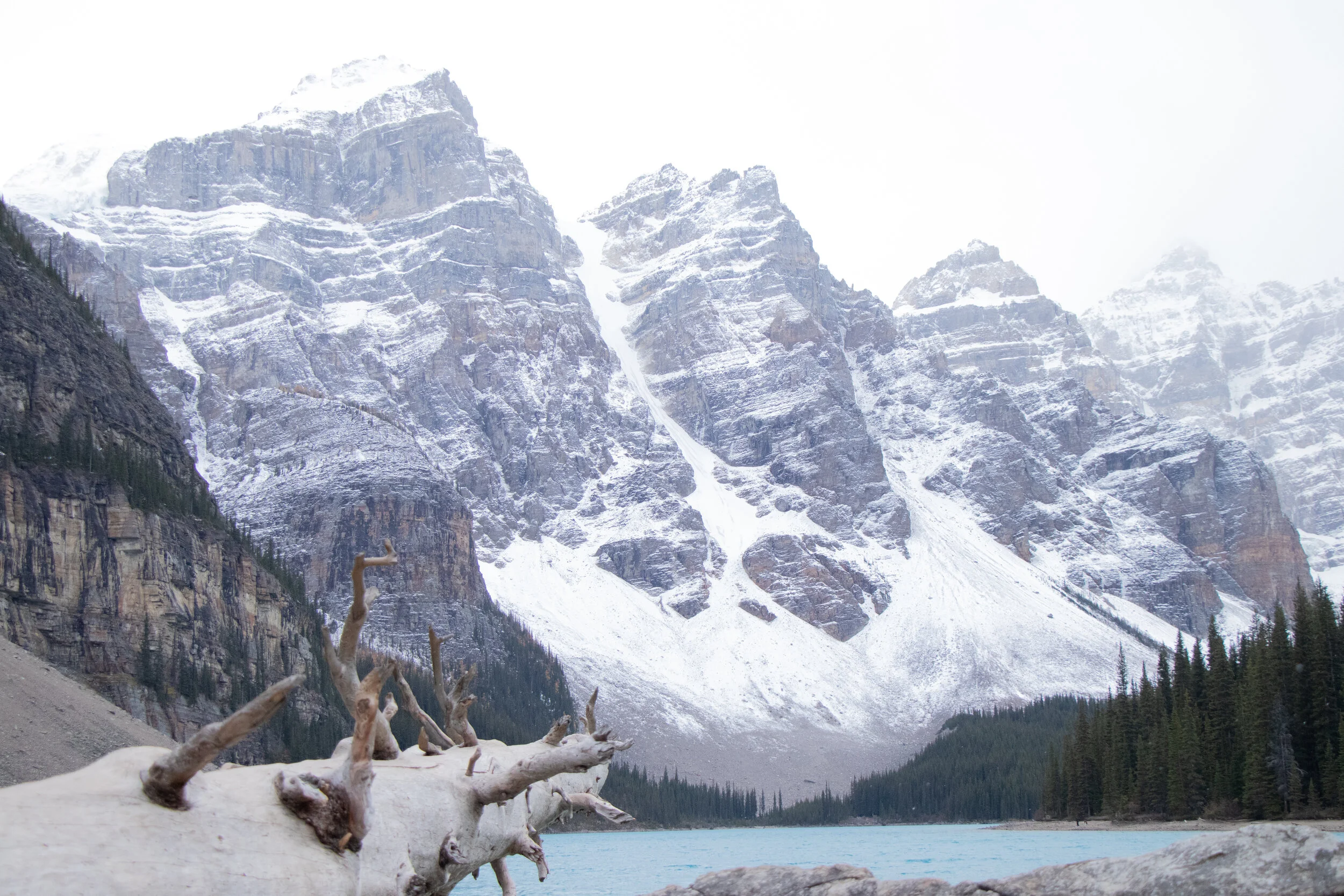 Snow-covered mountain range with a lake in the foreground, alongside a fallen tree trunk.