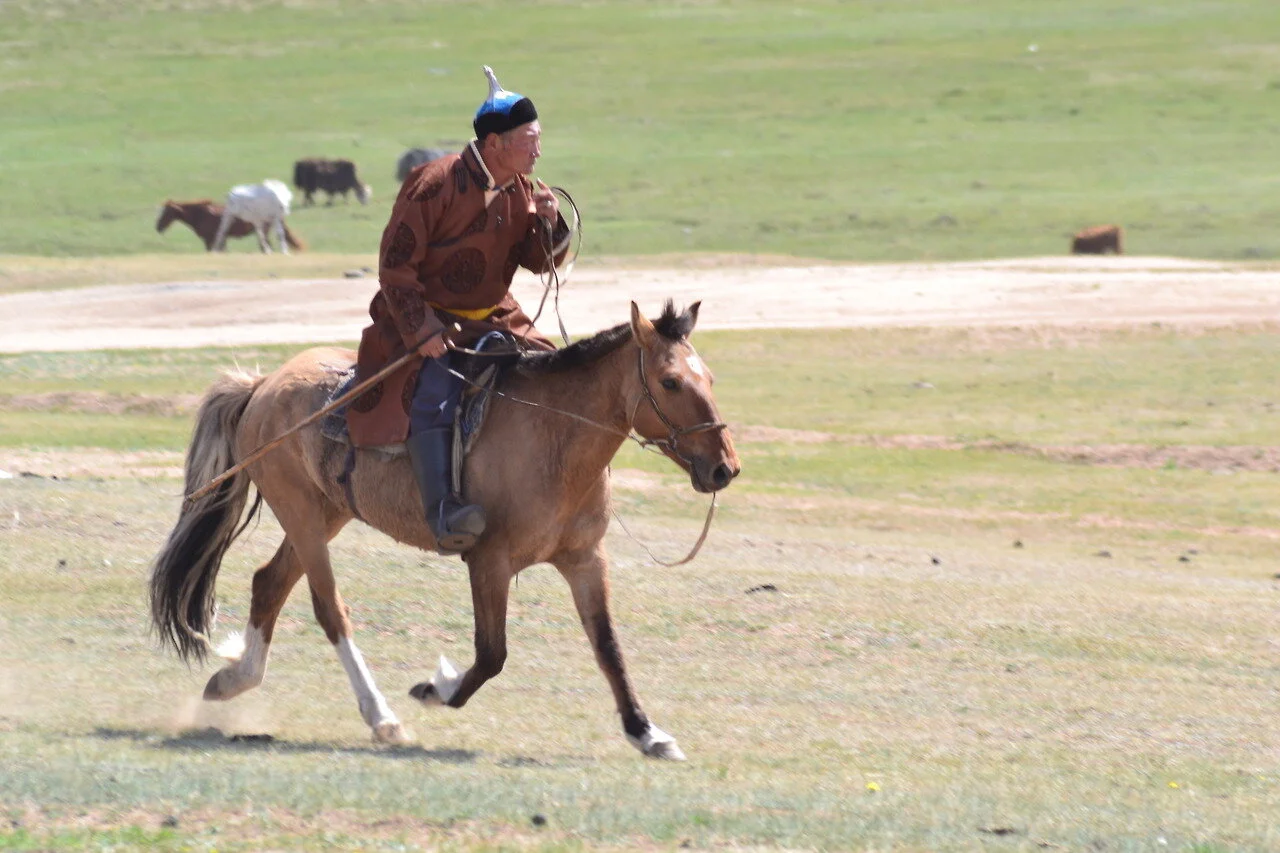 A person riding a horse on a grassy plain, with cows grazing in the background.