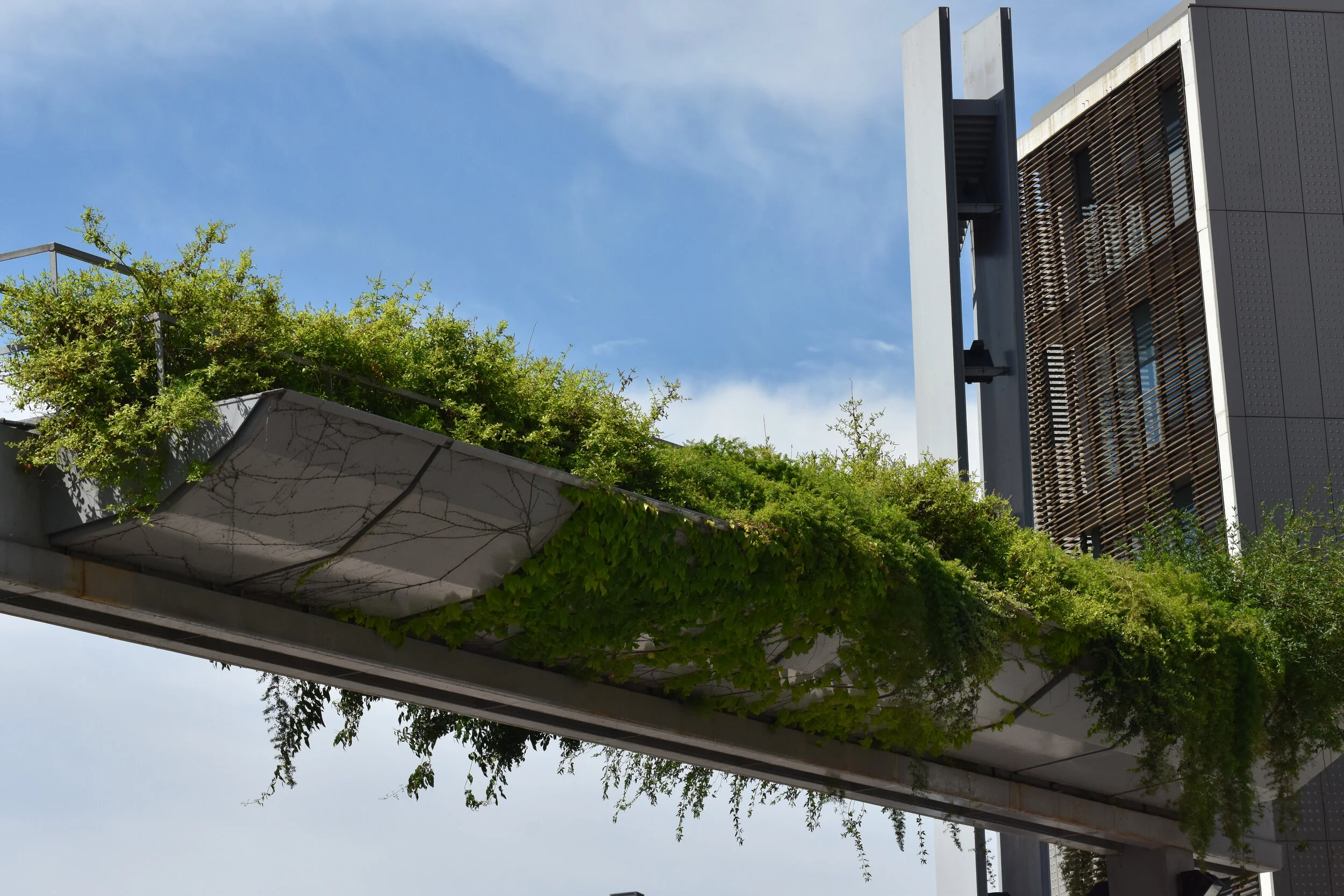 Modern building with an outdoor terrace covered in green plants and shrubs, against a blue sky with some clouds.