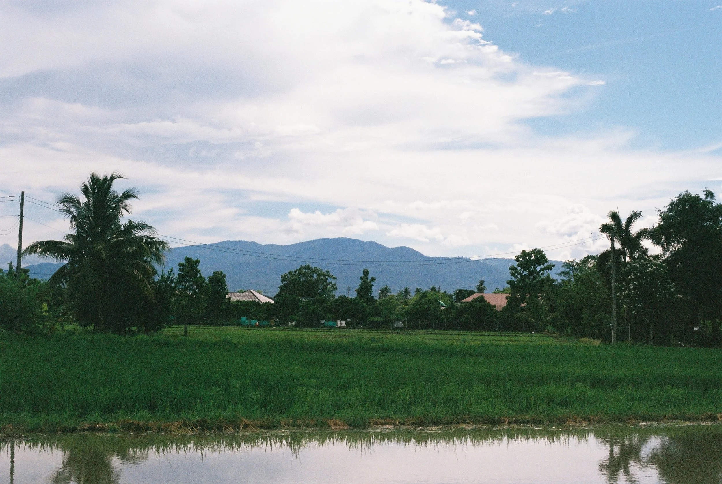 Scenic landscape with rice paddies, palm trees, houses, mountains in the background, and a partly cloudy sky.