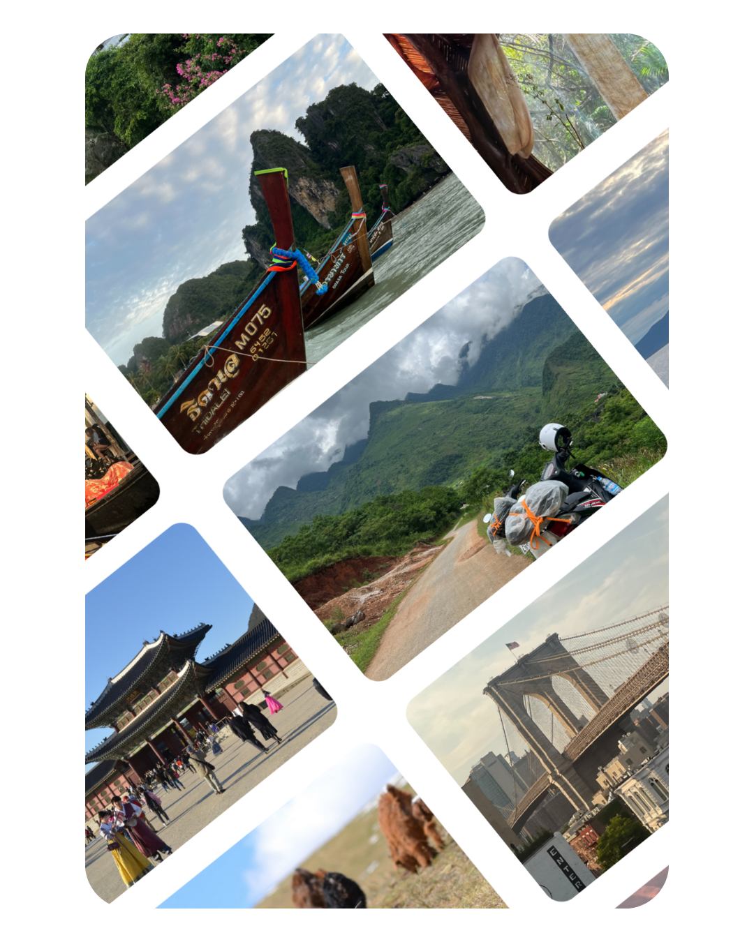 Collage of travel scenes including a long-tail boat in water near limestone cliffs, a temple courtyard, a motorbike on a mountain road, the Brooklyn Bridge, and animals in nature.