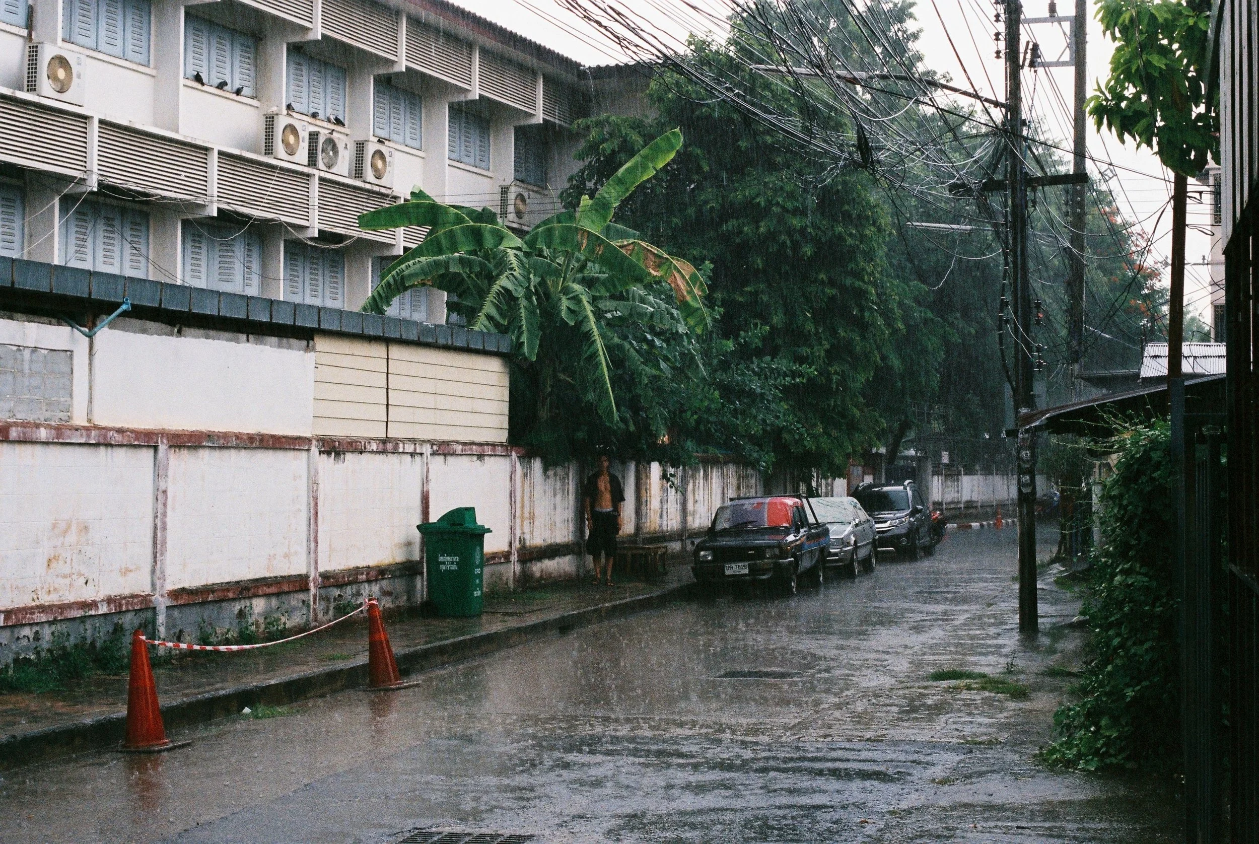 A street scene during heavy rain with multiple parked cars, a man standing under a tree, and wet pavement. The street is lined with trees and utility poles, with rain visibly falling.
