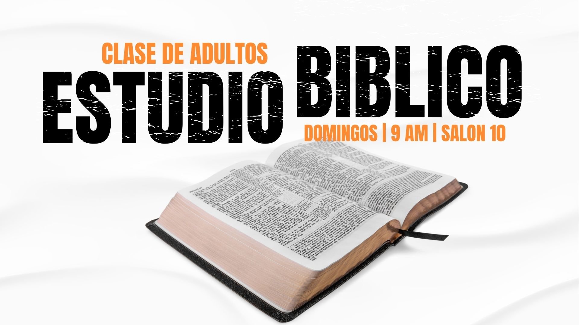 SPANISH BIBLE STUDY.jpg