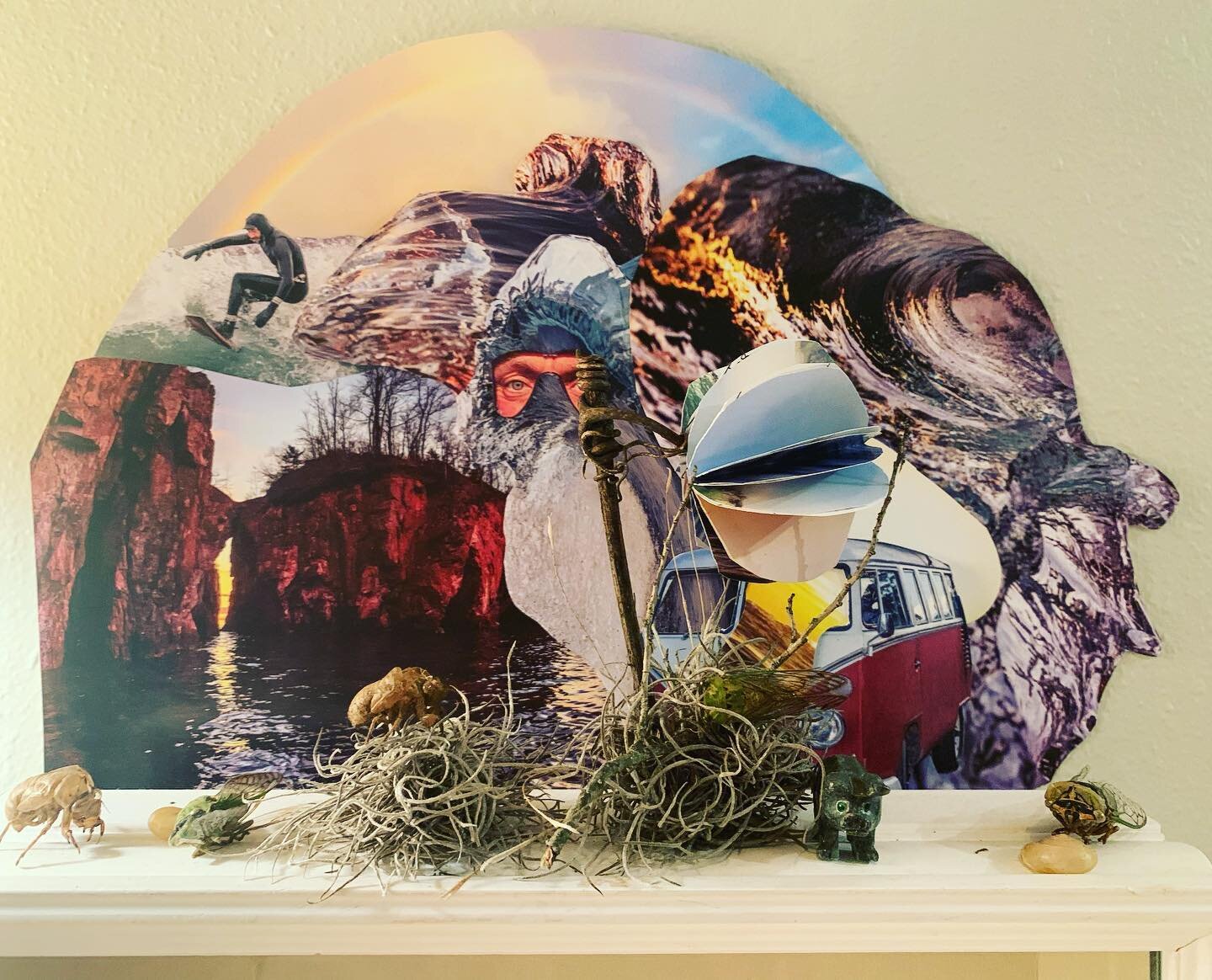 I made a collage! What do ya think?