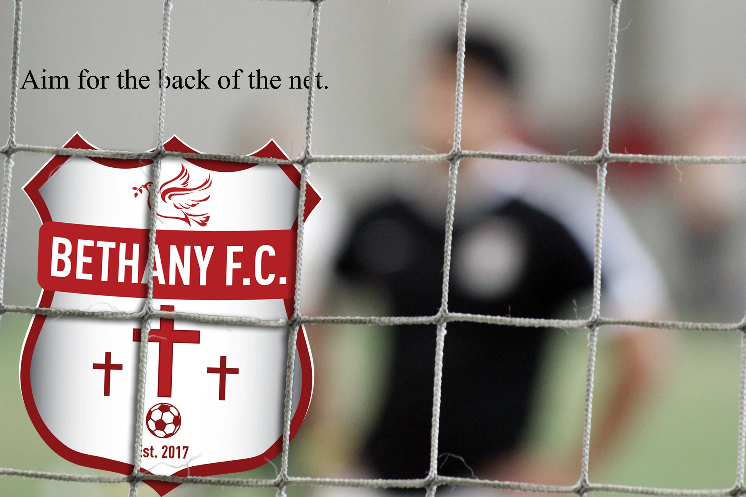 bfcnet.jpg