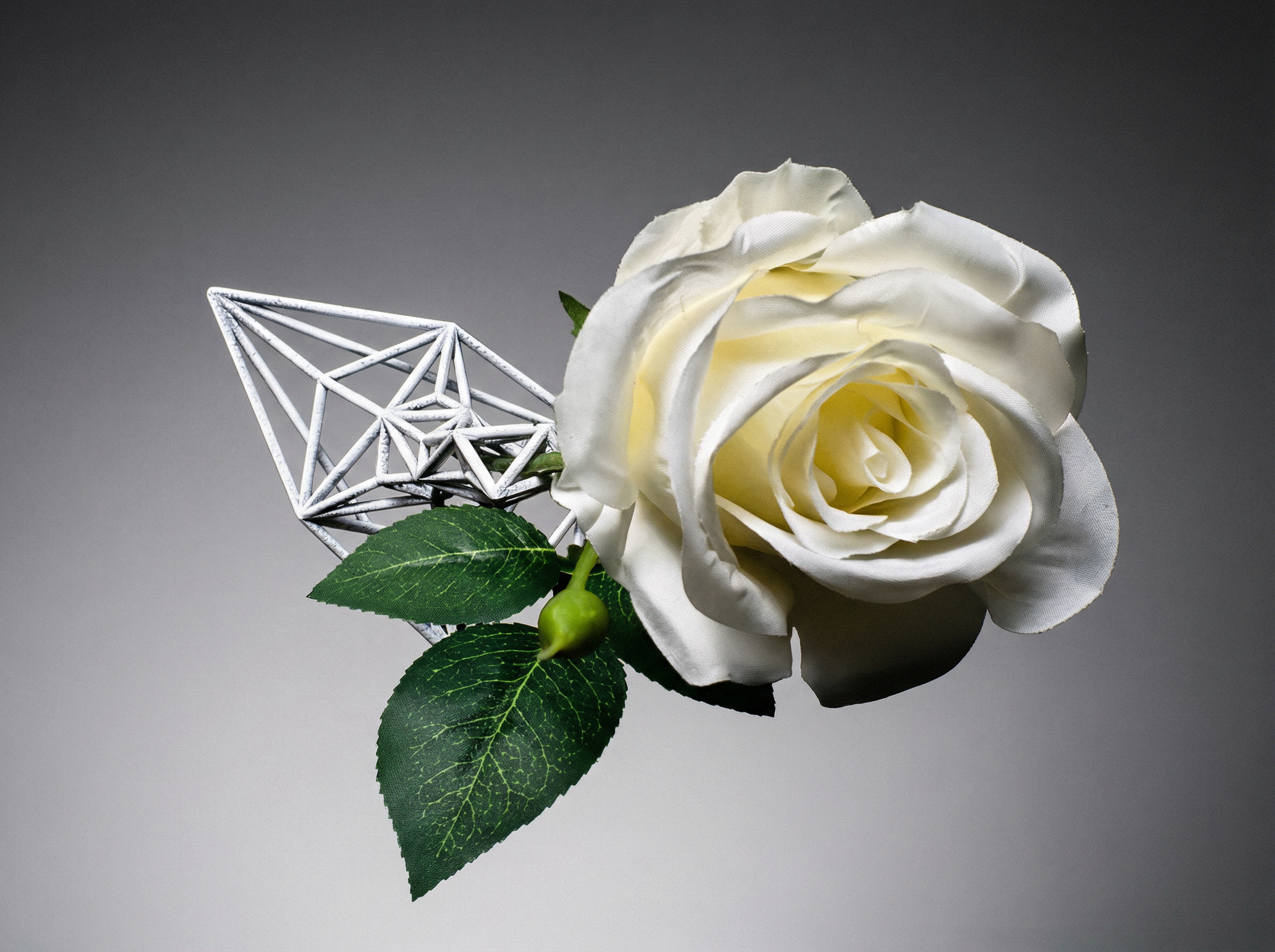 Single Stem Vase - Growth