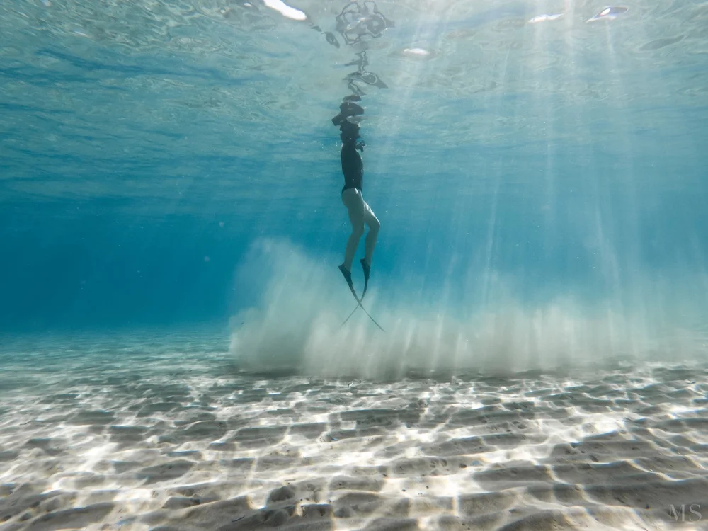 GOPR0303 gut_GPR.jpeg