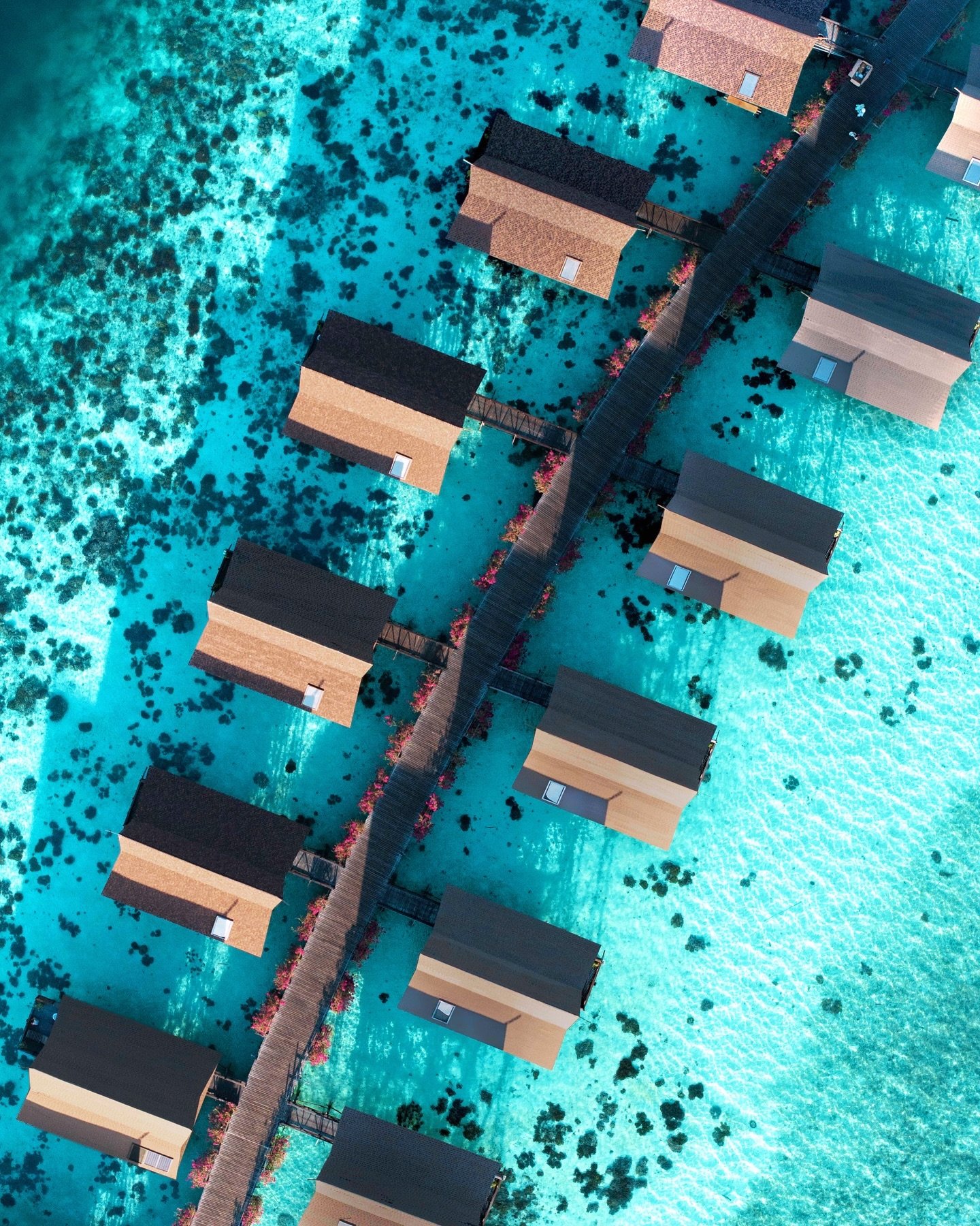 Who else needs summer and ocean vibes? 🌊☀️🐚🐠

📍East Borneo, Malaysia

#paradiseescape #overwaterbungalow #overwatervilla #naturephotography #naturebeauty #vacationdreams #semporna #sipadankapalaidiveresort #malaysia #malaysiantravellers #malaysia