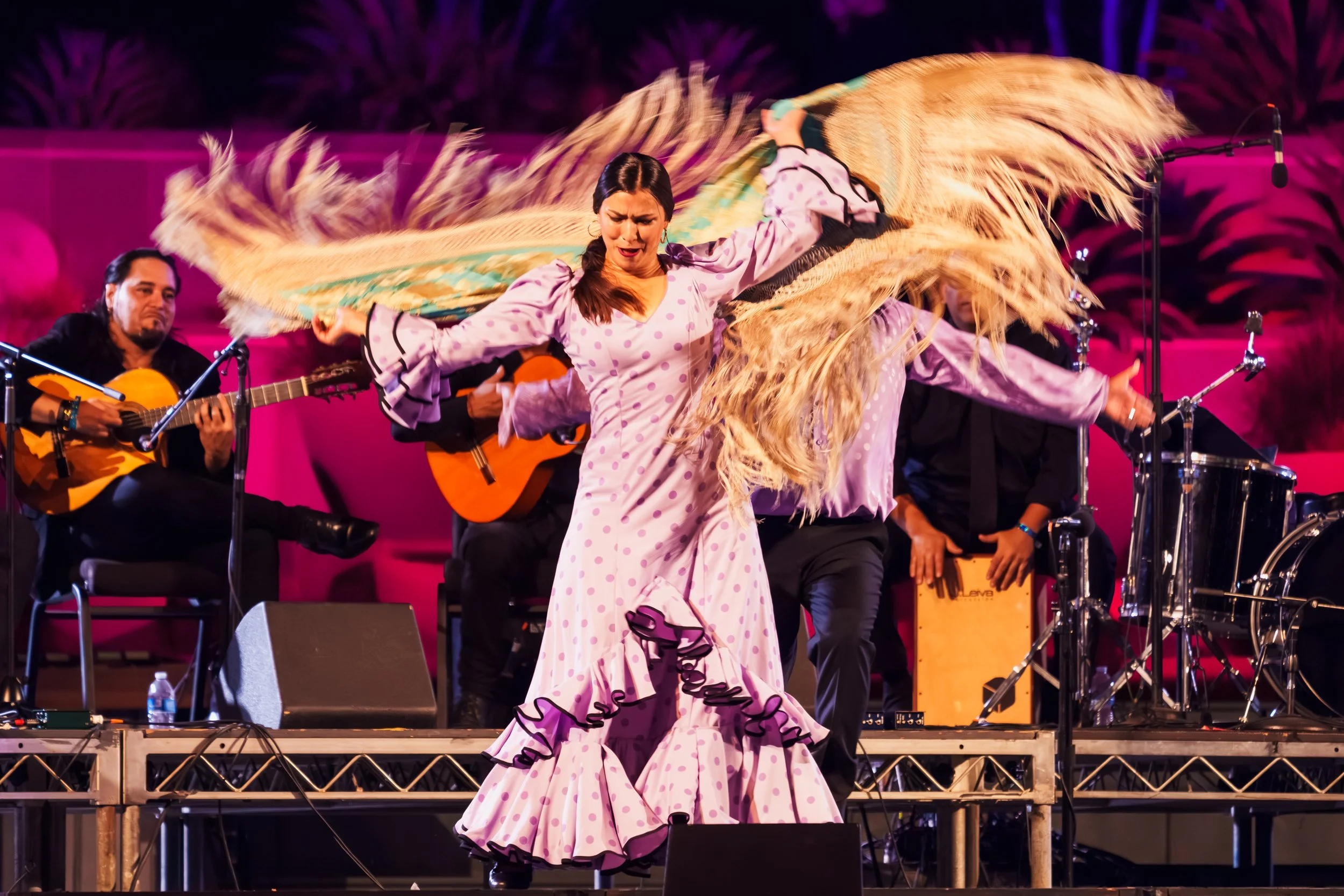 Jésus Muños Flamenco, WAA 2025; credit: Farah Sosa