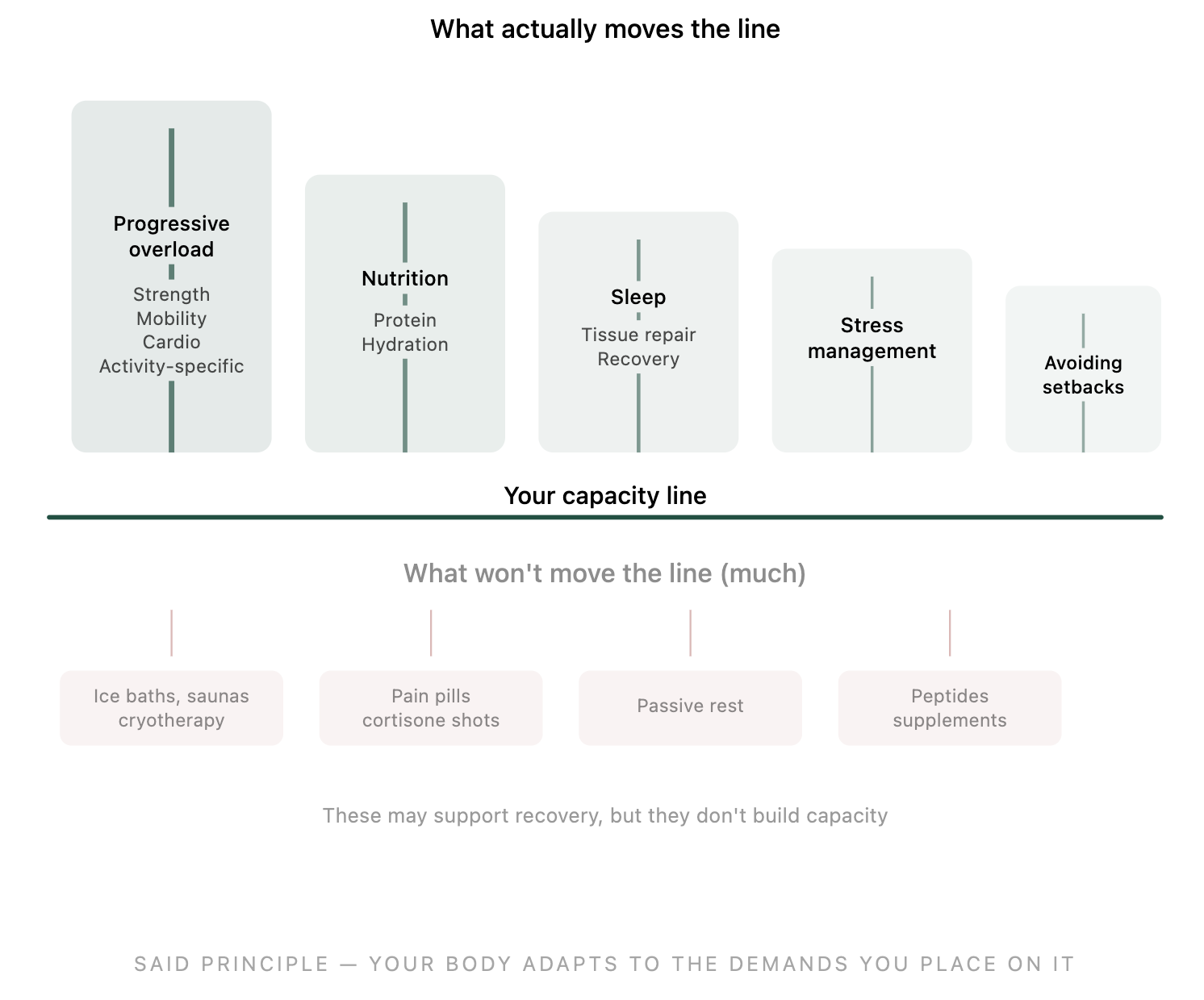 Diagram comparing what actually moves the capacity line (progressive overload, nutrition, sleep, stress management) versus what doesn't move it much (ice baths, pain pills, passive rest, supplements)]