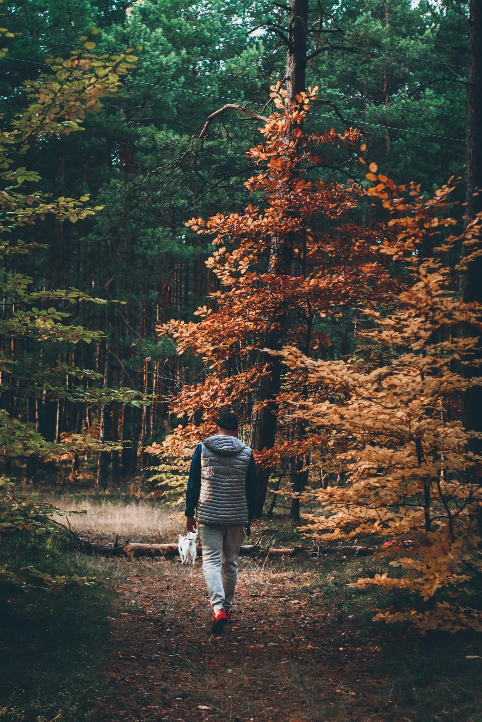What I'd Do To Lose 10–20 Pounds Before Thanksgiving