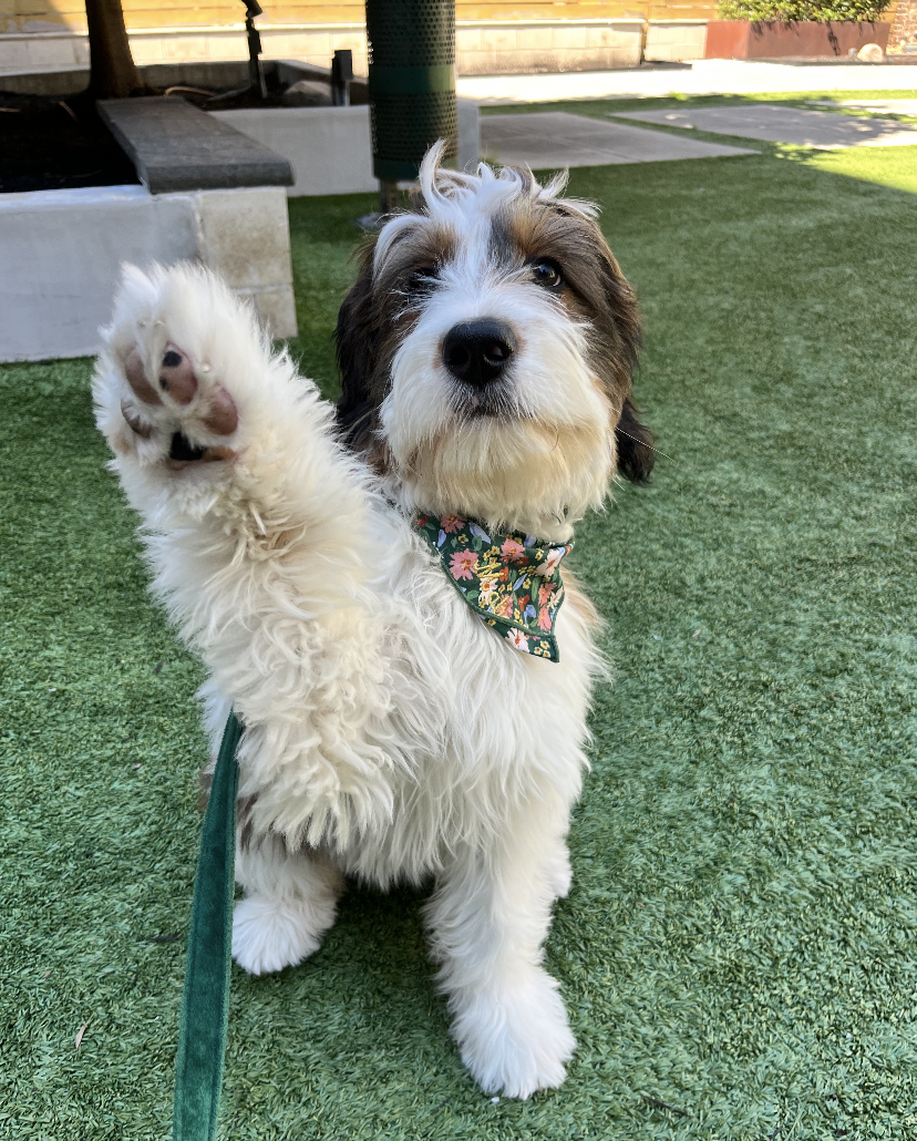 I’m Not Doing It Today