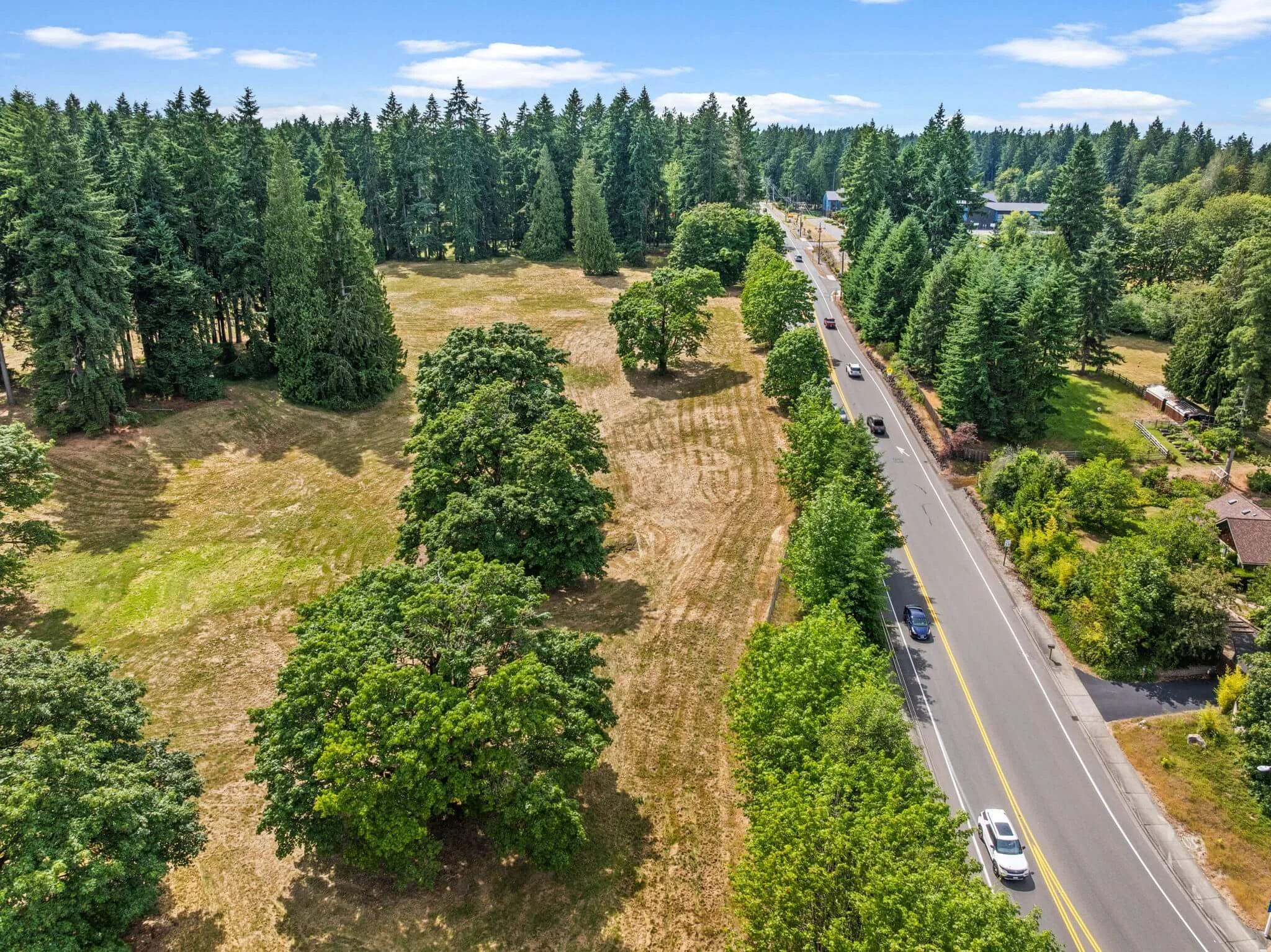 4-web-or-mls-DJI_20250625151911_0111_D (1).jpg