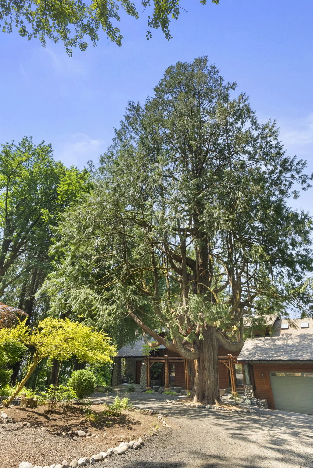 6-web-or-mls-18918 82nd st ct NW046.jpg