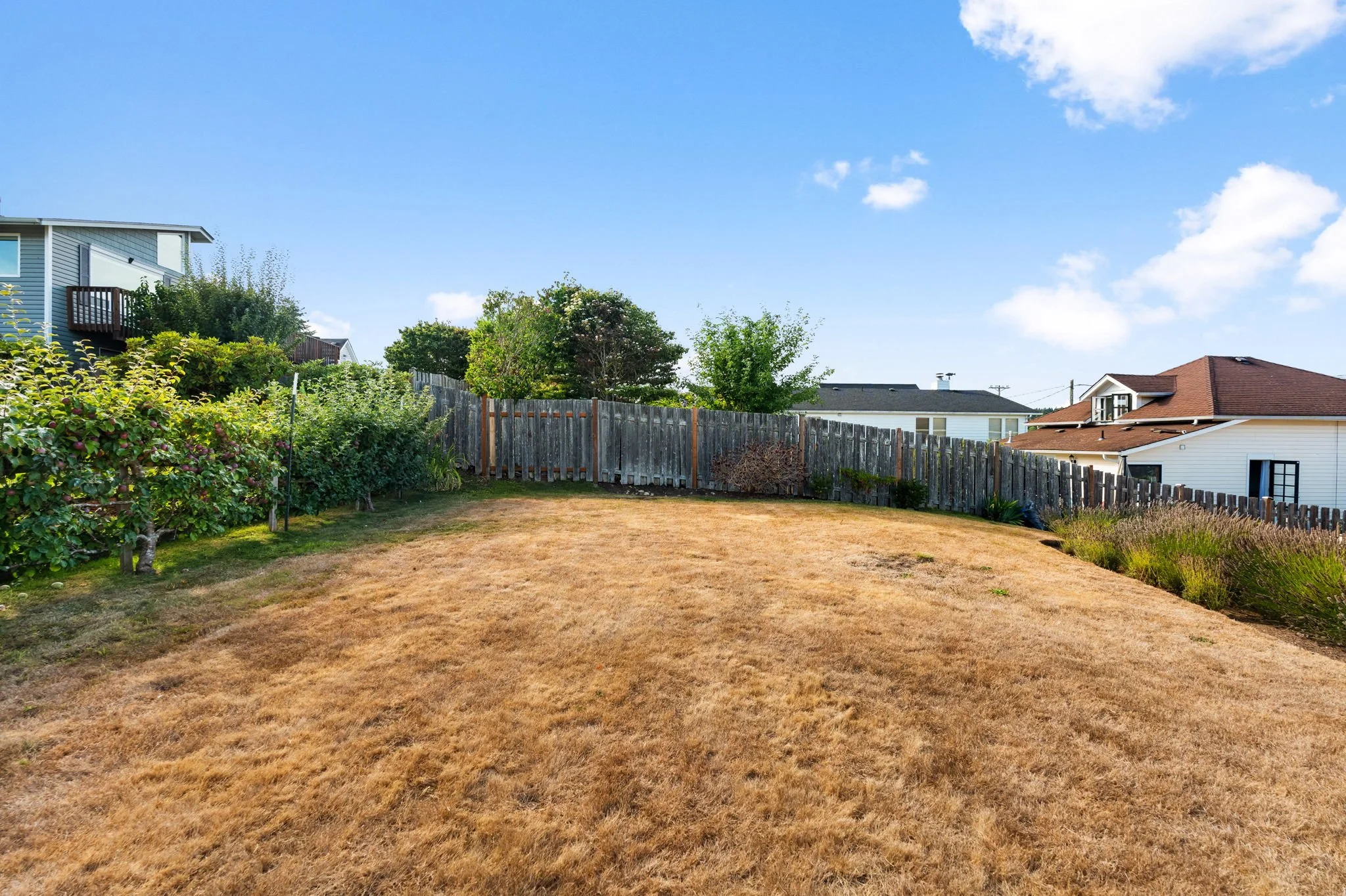 80-web-or-mls-DSC09464.jpg
