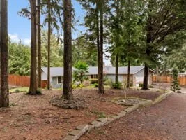 privacy with trees.jpeg