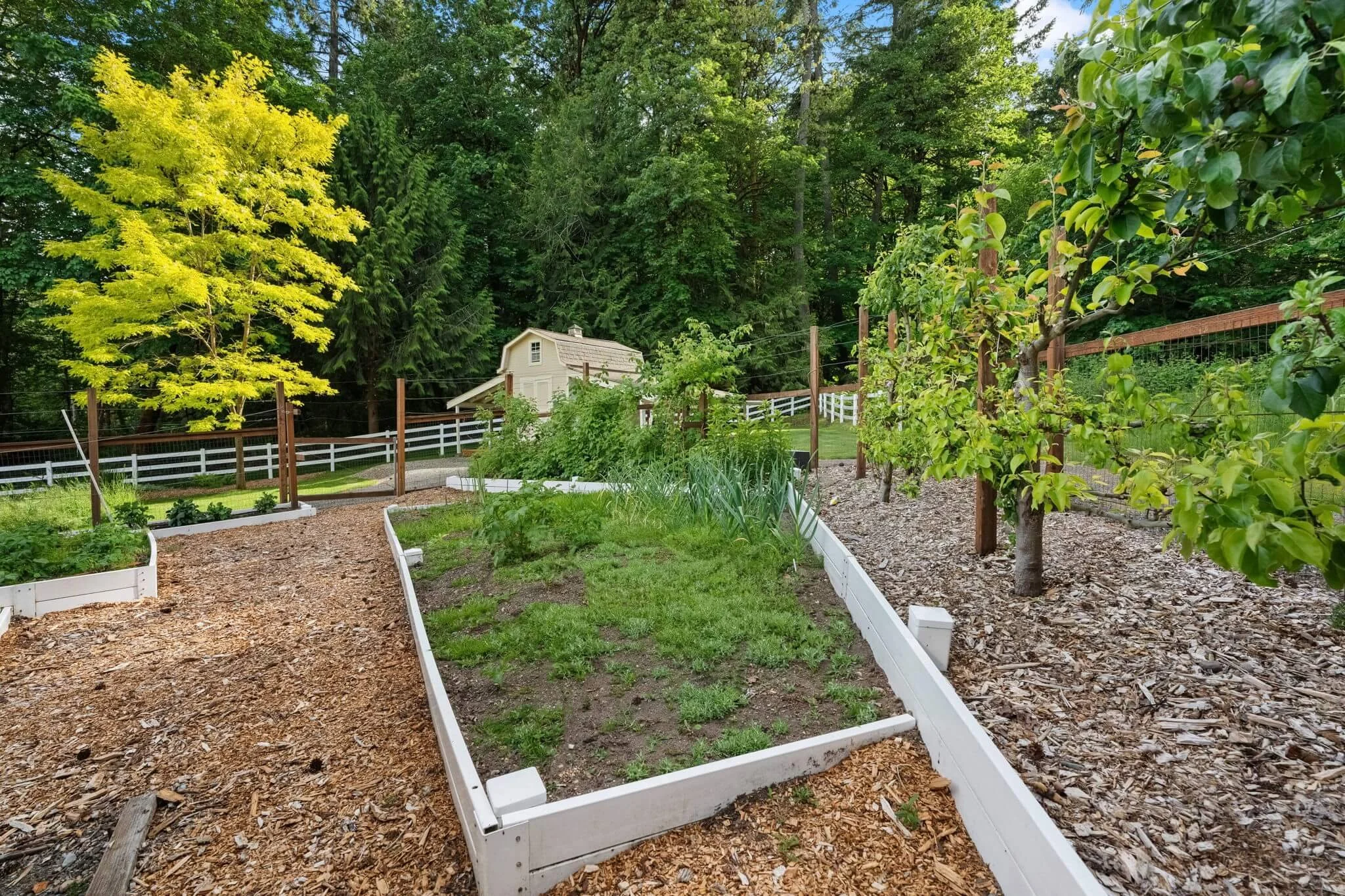 10114 Crescent Valley Drive NW Gig Harbor93.jpg
