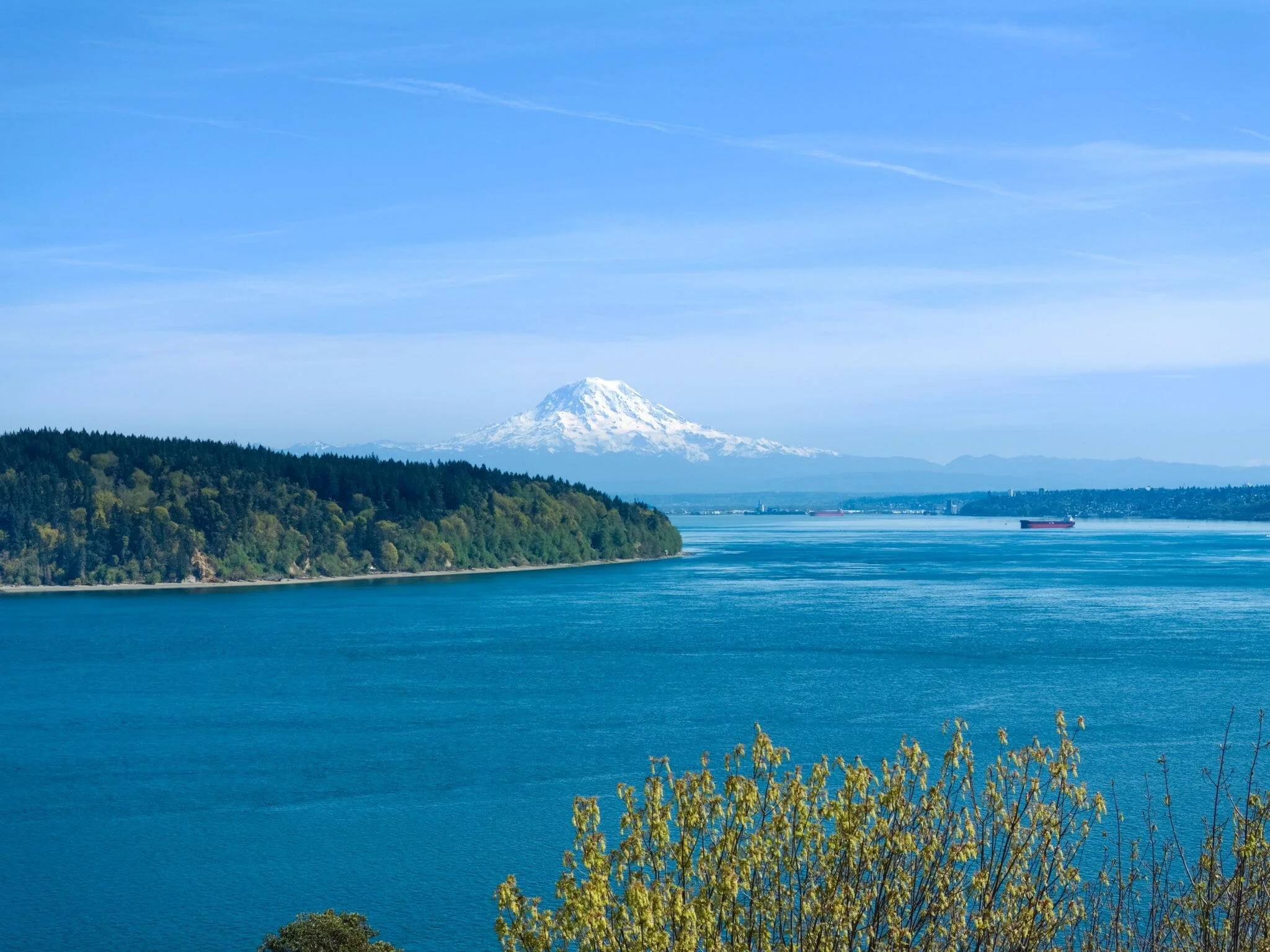 11004 Colvos Dr NW, Gig Harbor, WA12.jpg