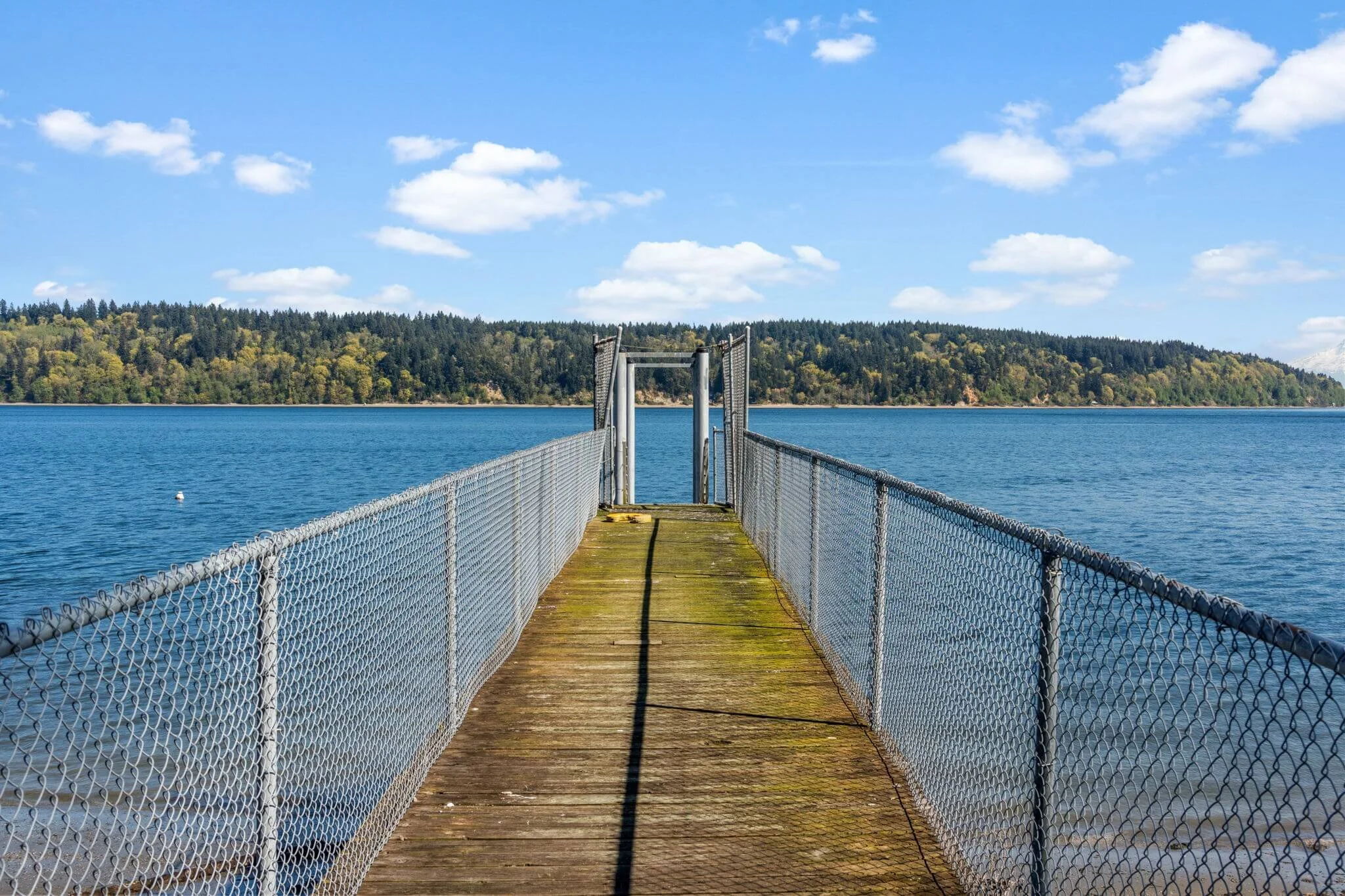 11004 Colvos Dr NW, Gig Harbor, WA97.jpg
