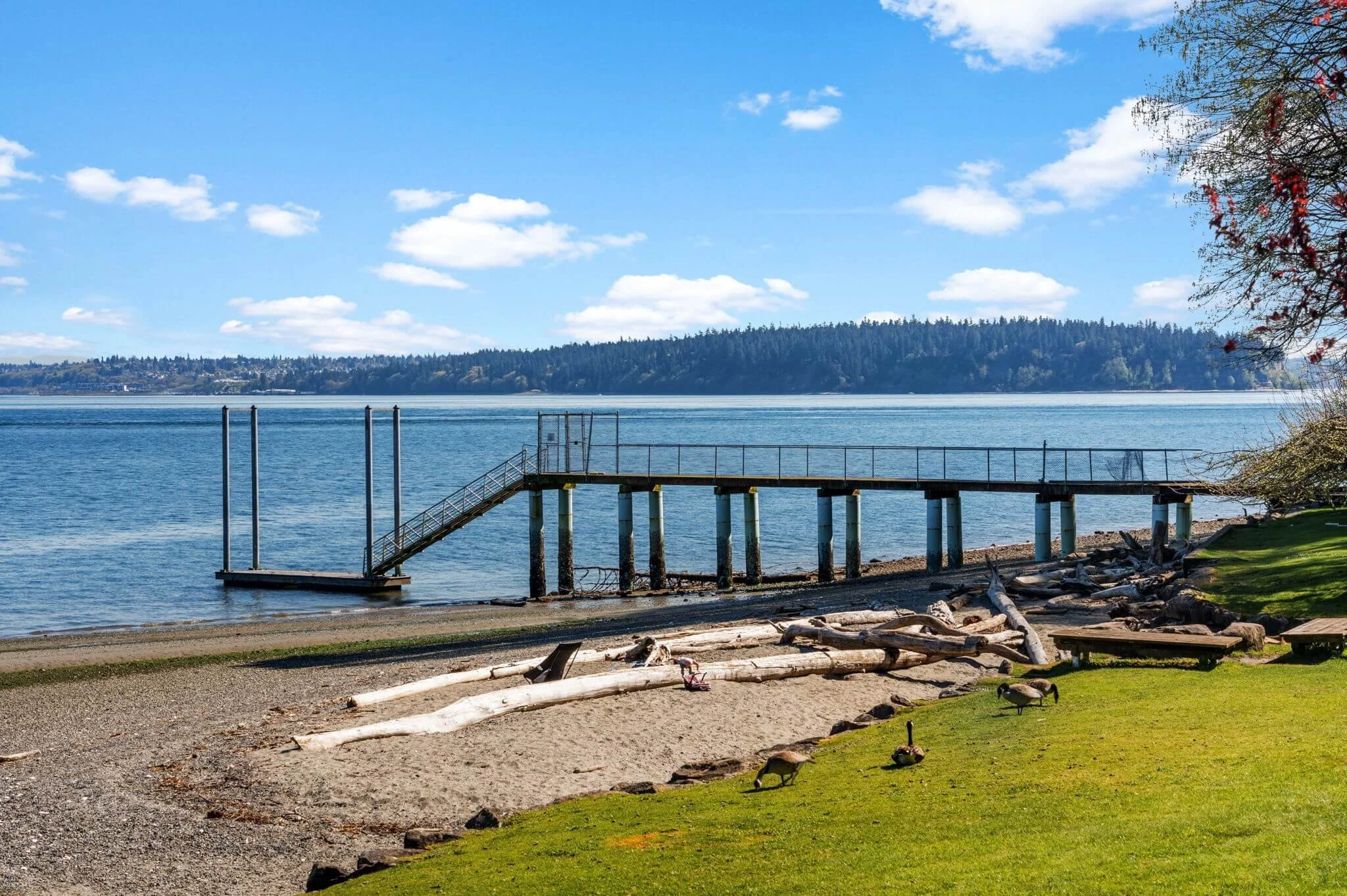 11004 Colvos Dr NW, Gig Harbor, WA100.jpg