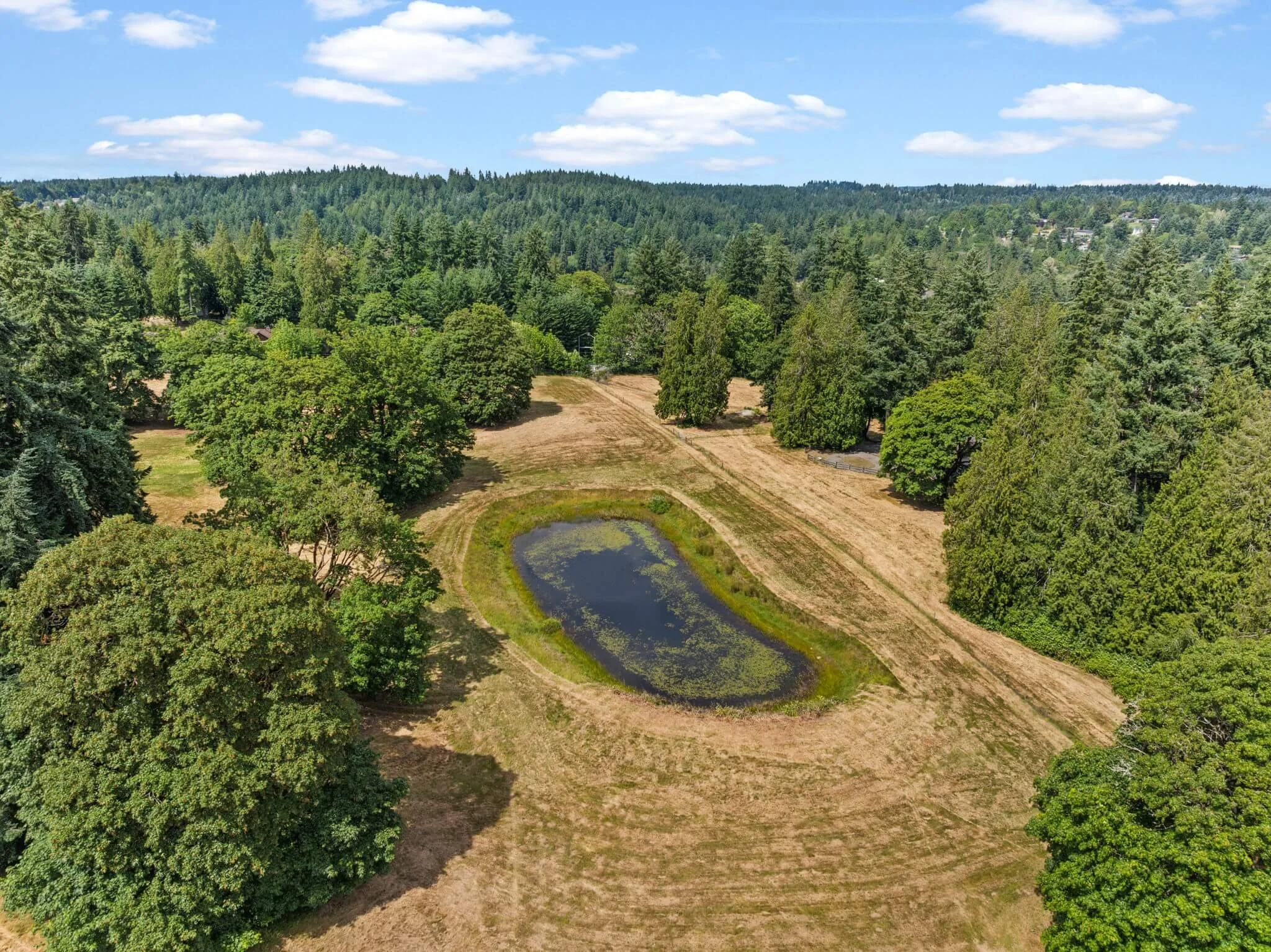 14-web-or-mls-DJI_20250625151505_0094_D (1).jpg
