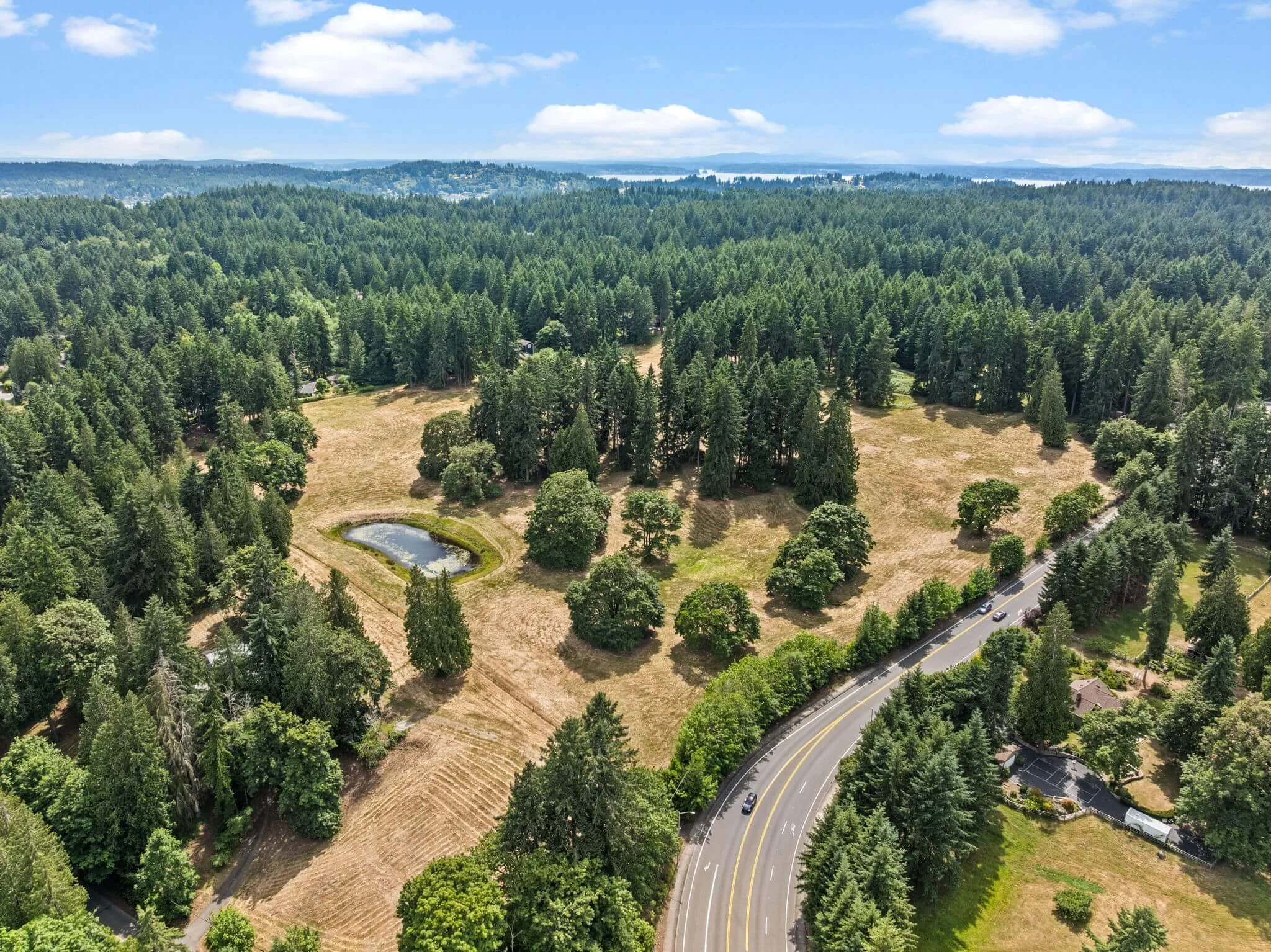 2-web-or-mls-DJI_20250625151752_0103_D (1).jpg
