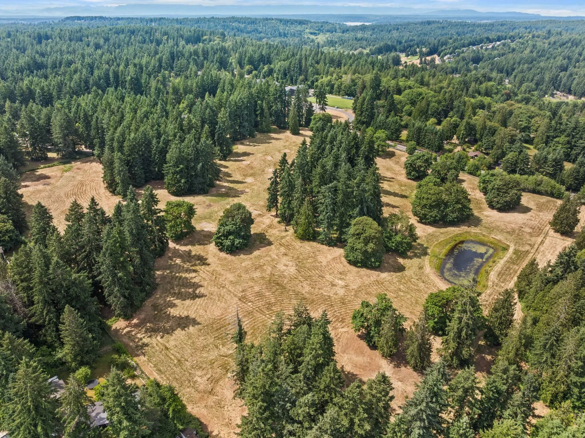 13-web-or-mls-DJI_20250625151351_0089_D (1).jpg