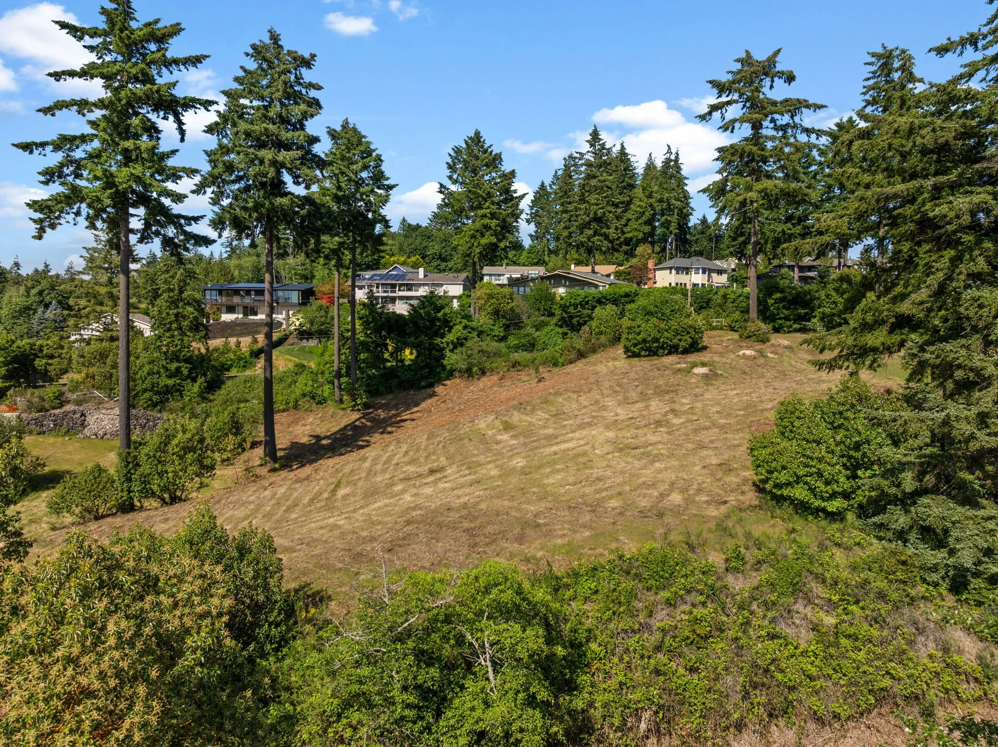 21-web-or-mls-DJI_20260530104533_0585_D.jpg