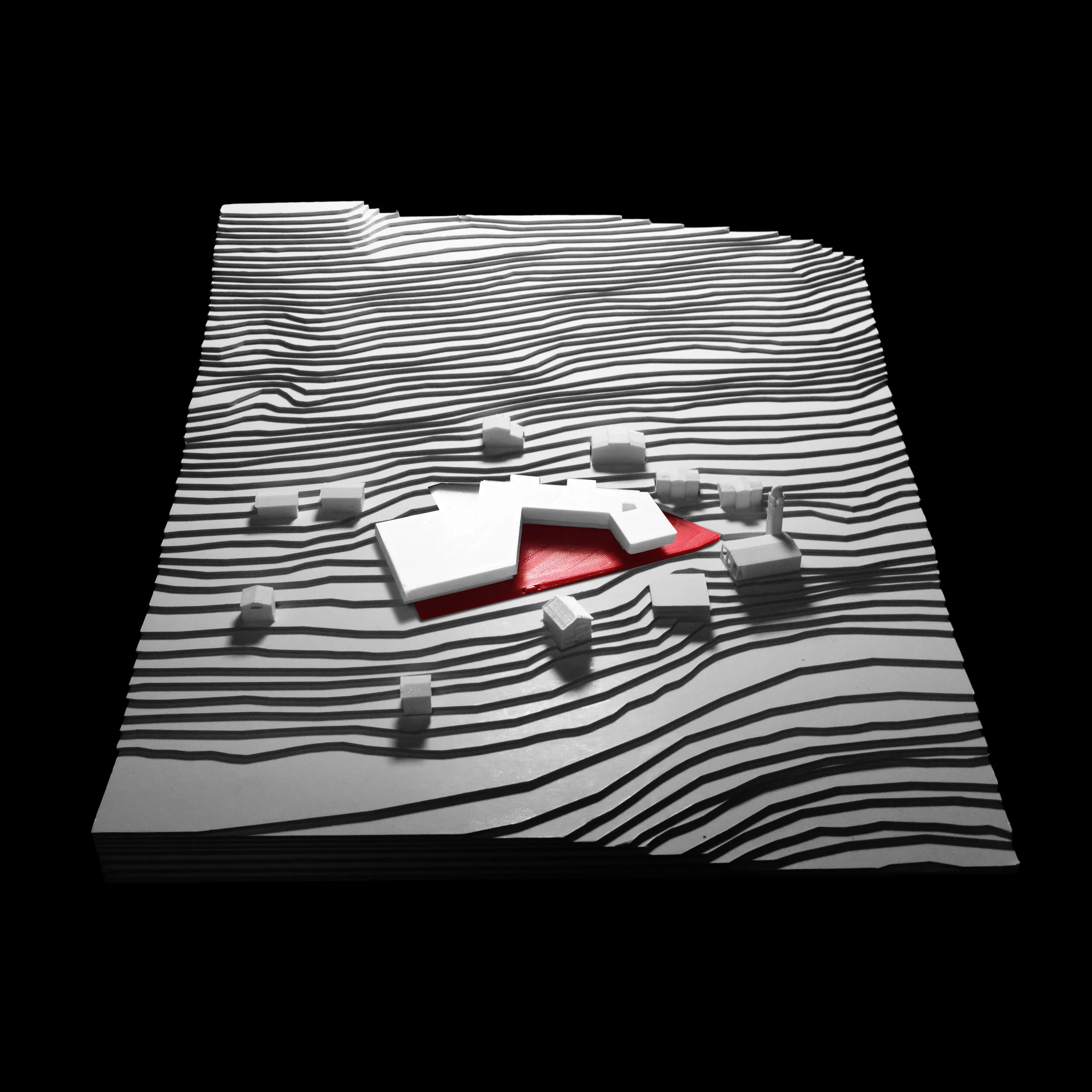 DSCF4328-Recuperato.jpg