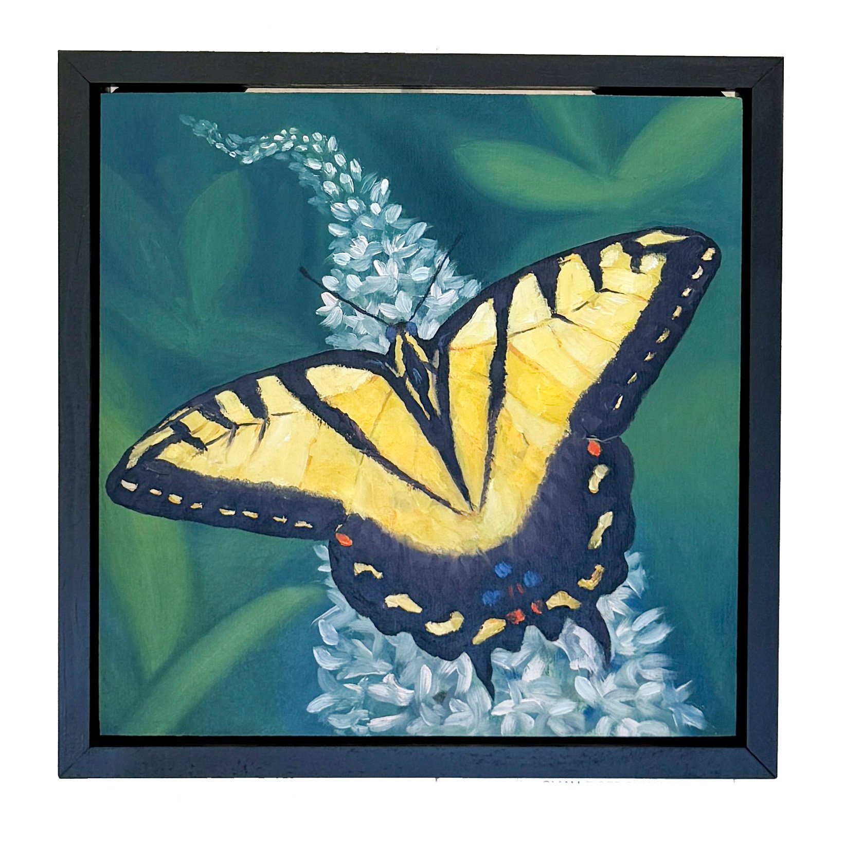 SmallTigerSwallowtail_Framed.jpg