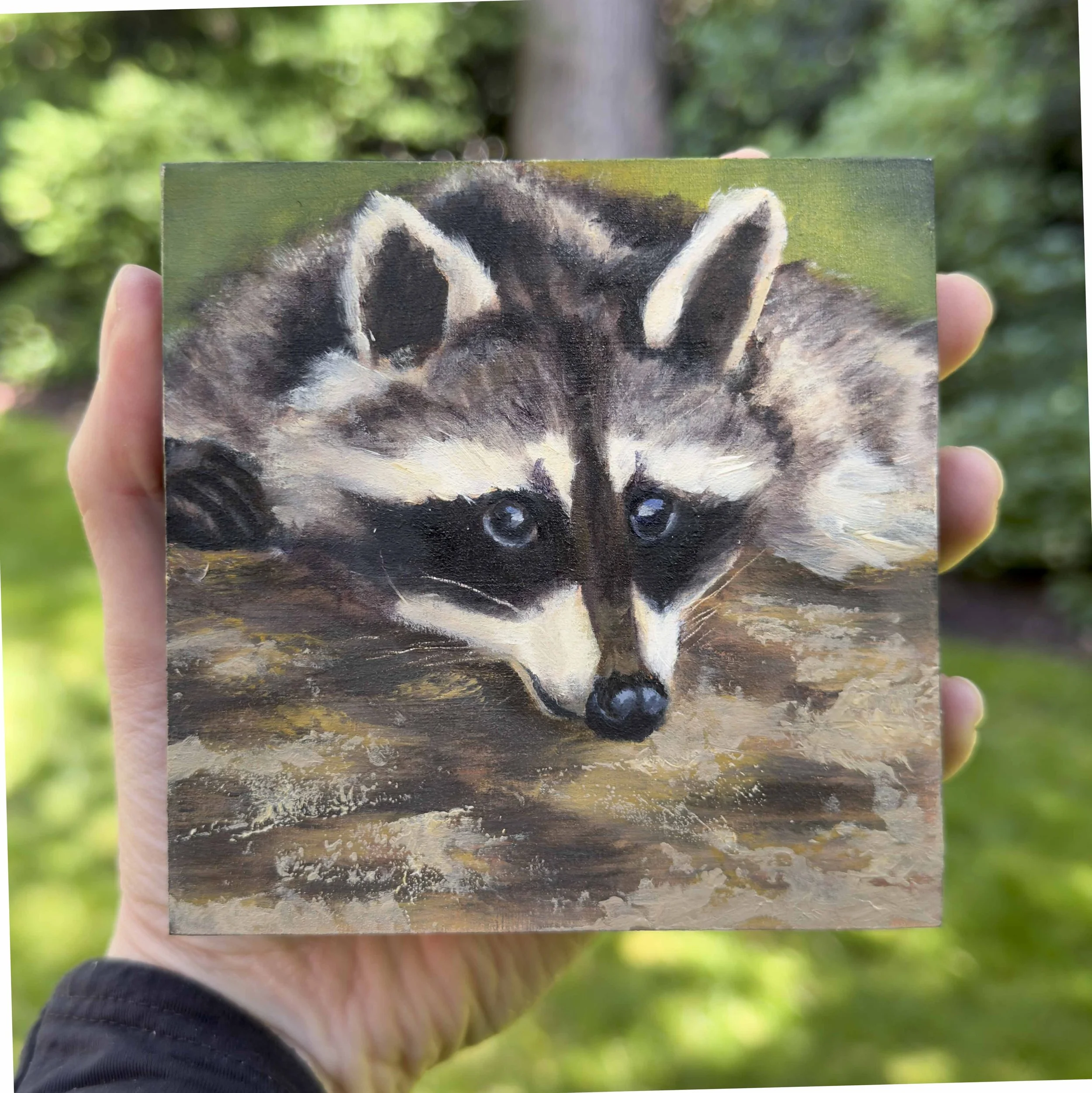 raccoon_catherinepurdy_oil_square.jpg