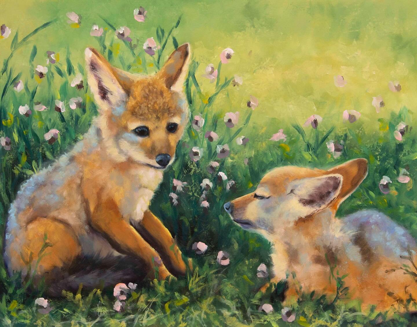 Black-backed Jackal Pups from &ldquo;The Painted Safari&rdquo; series, 11x14 inches, oil on panel

Available! 🔗in bio