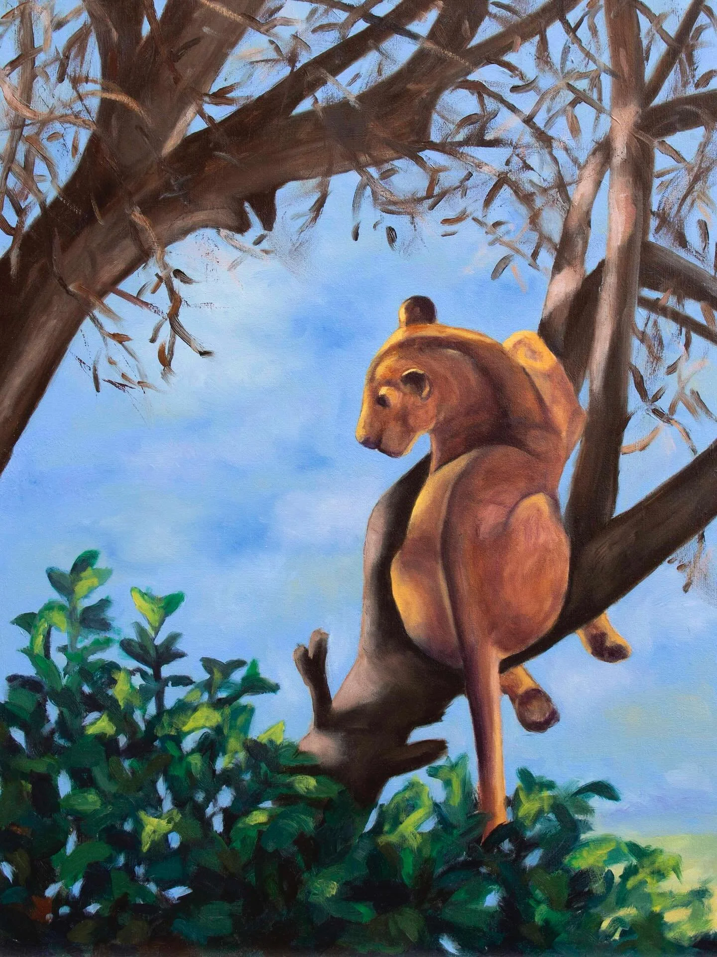 Room With a View from &ldquo;The Painted Safari&rdquo; series, oil on panel, 16x12 inches
Available on my website!

Spotted this lion in a tree in Lake Manyara National Park back in 2003. ➡️ swipe for the original 35mm film reference photo