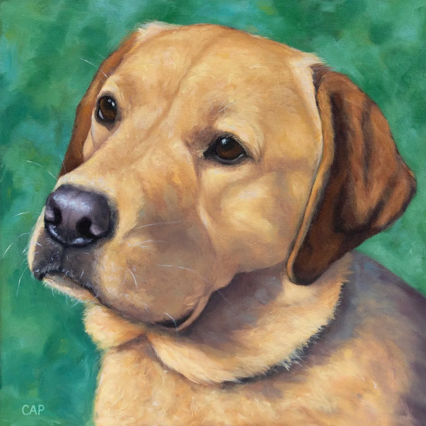 Poppy the yellow lab is eager to please, but as a 1 year old pup sometimes finds it hard to contain her excitement, which comes out in an enthusiastic full body tail wag! 

Commissions are open! DM for more information (prices go up on Jan 1st, 2026)