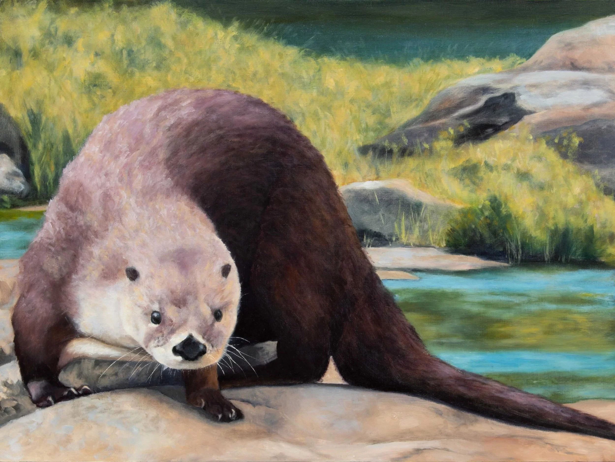 Rock Hopping River Otter, 12x16 inches, oil on wood panel. Available!

This painting is from my Untamed RVA: Wildlife on the James collection. I love being able to use local wildlife &amp; landscapes as inspiration for my paintings. One of the otters