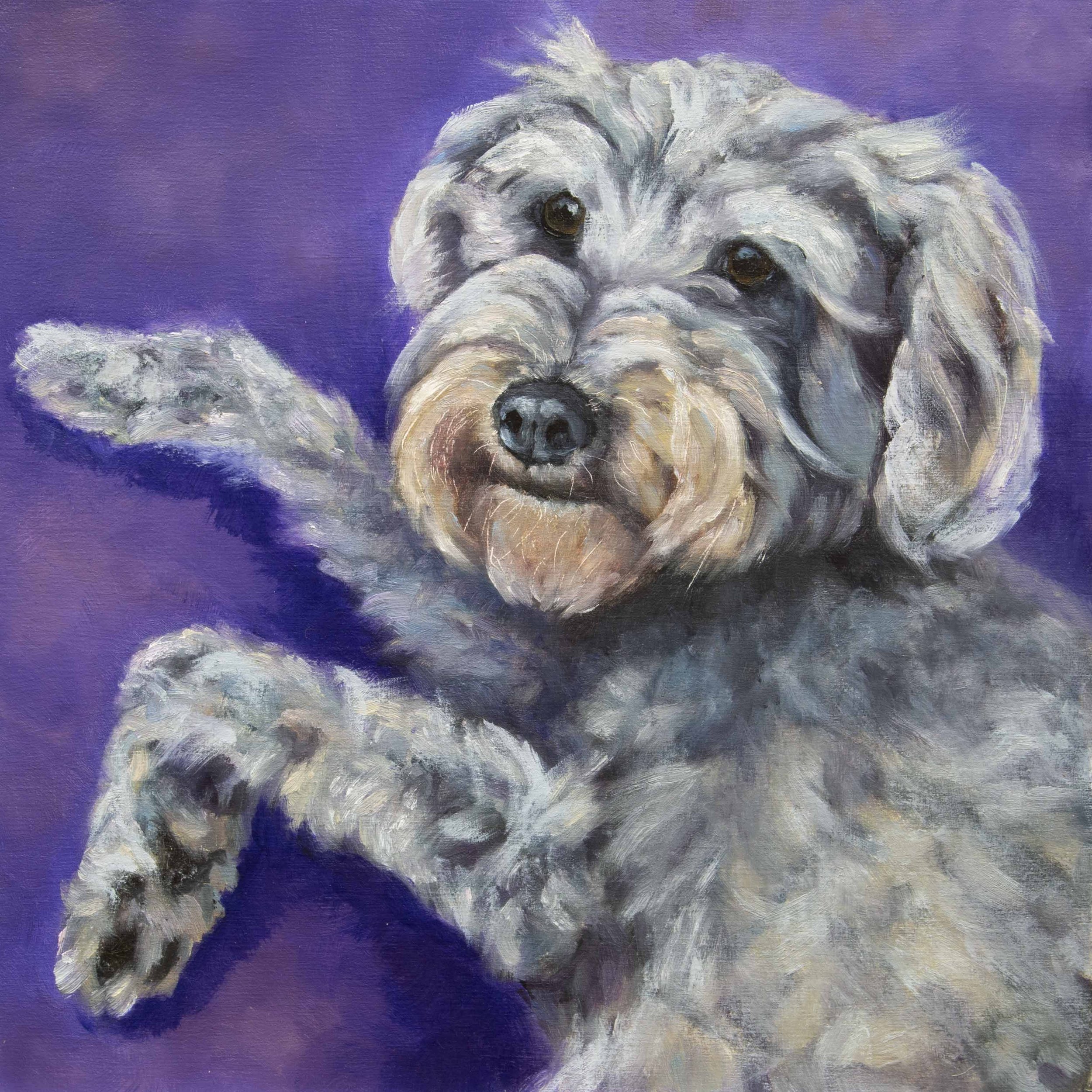 Pippi, 8x8 oil on panel, commission