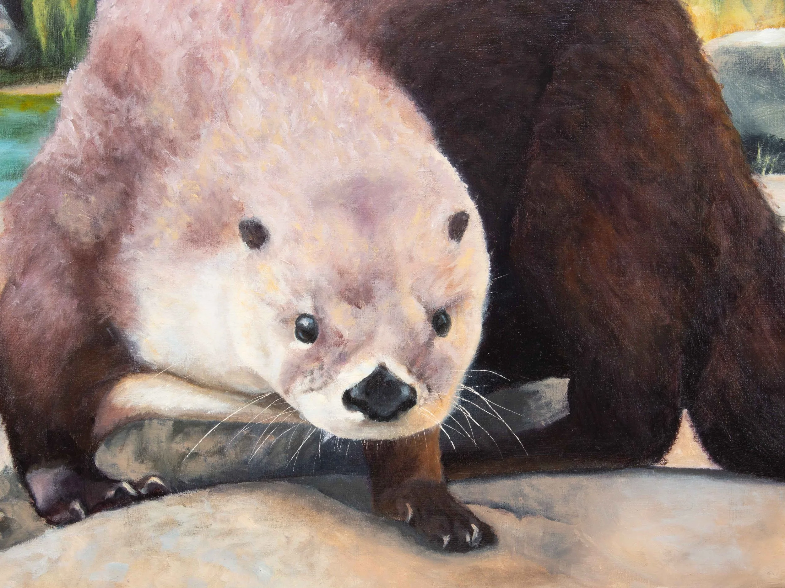 Otterdetail_small.jpg