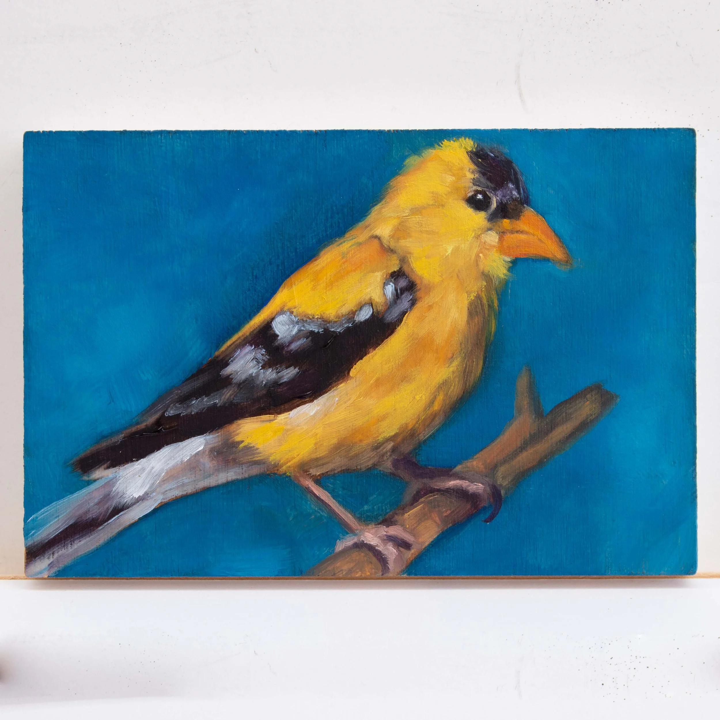 Goldfinch