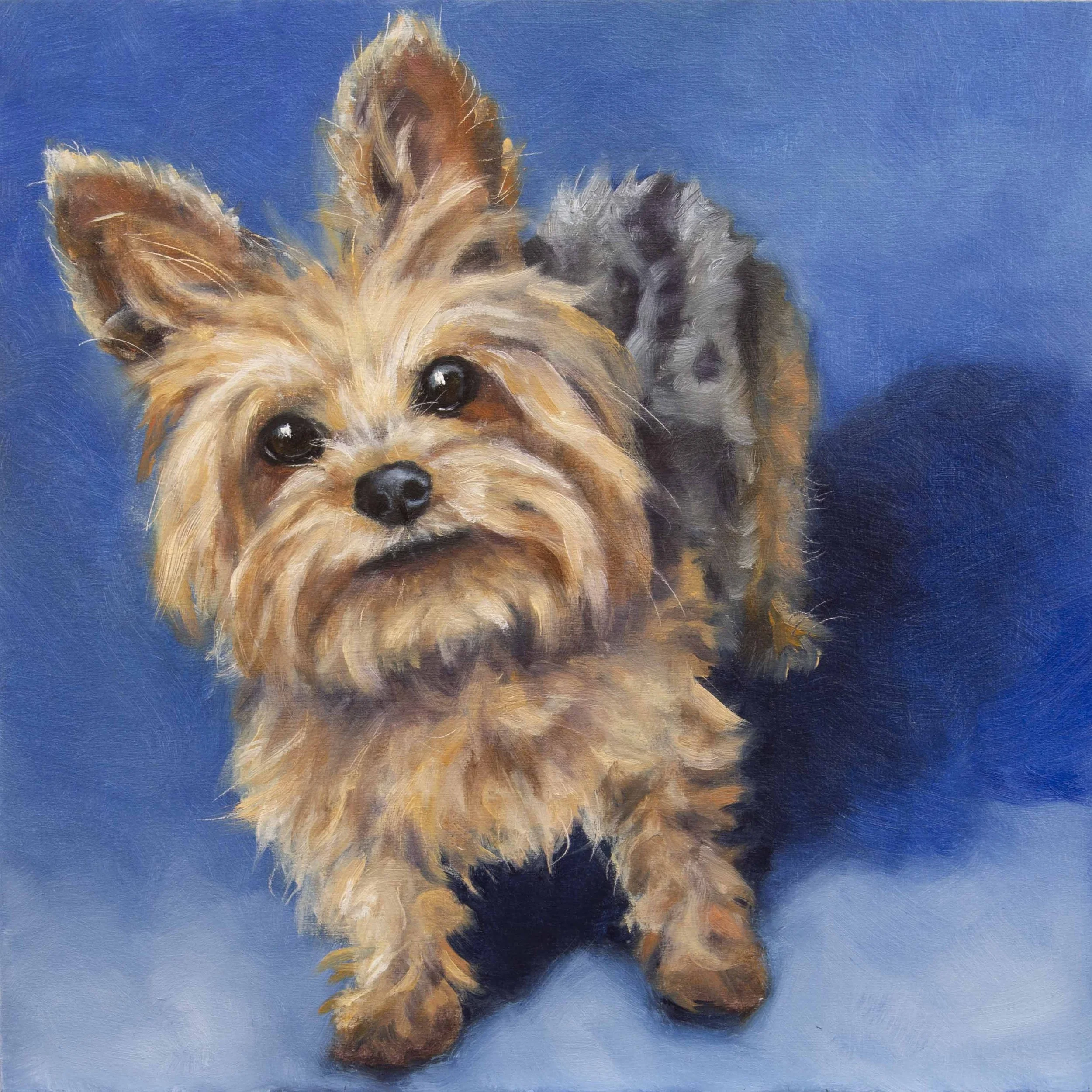 Allie, 8x8 oil on panel, commission