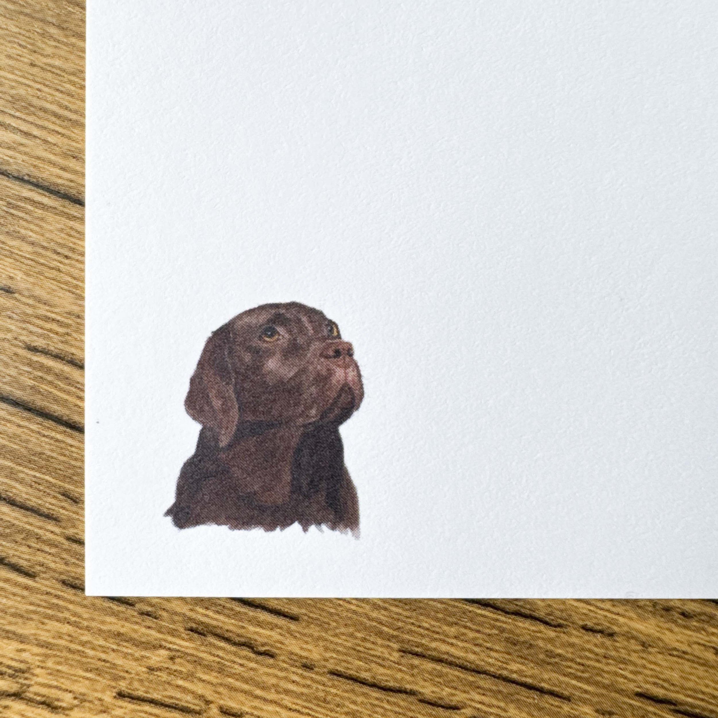 Chocolate Lab Notecards, A6 set of 4
