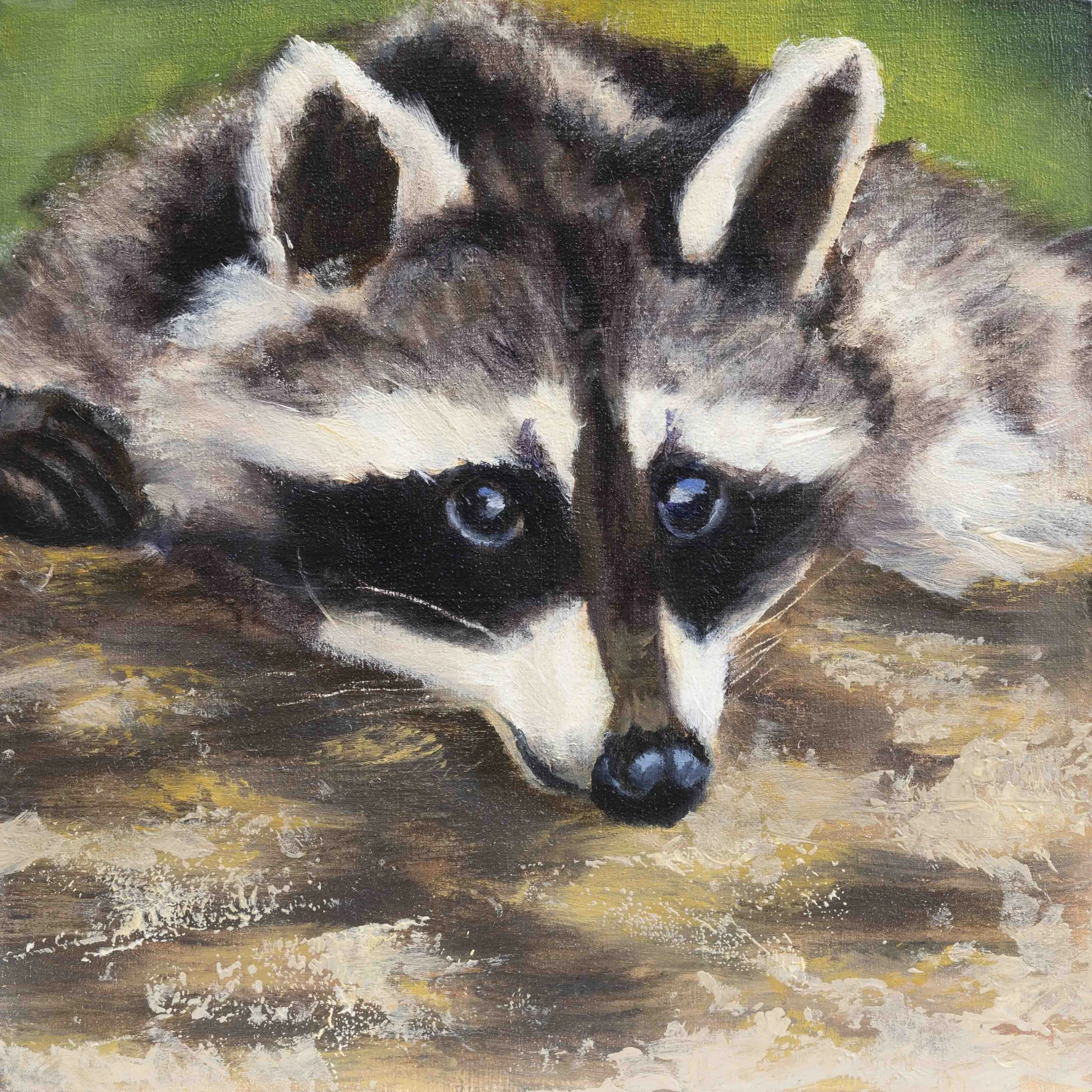 raccoon_catherinepurdy_oil_small.jpg
