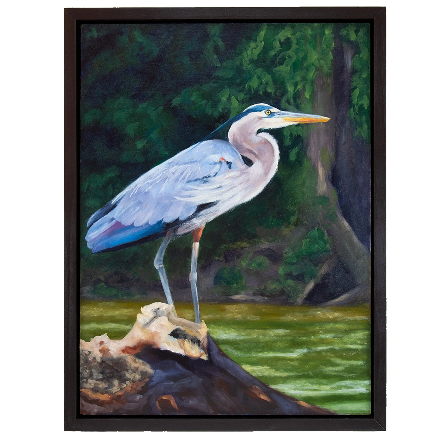 James River Heron, oil