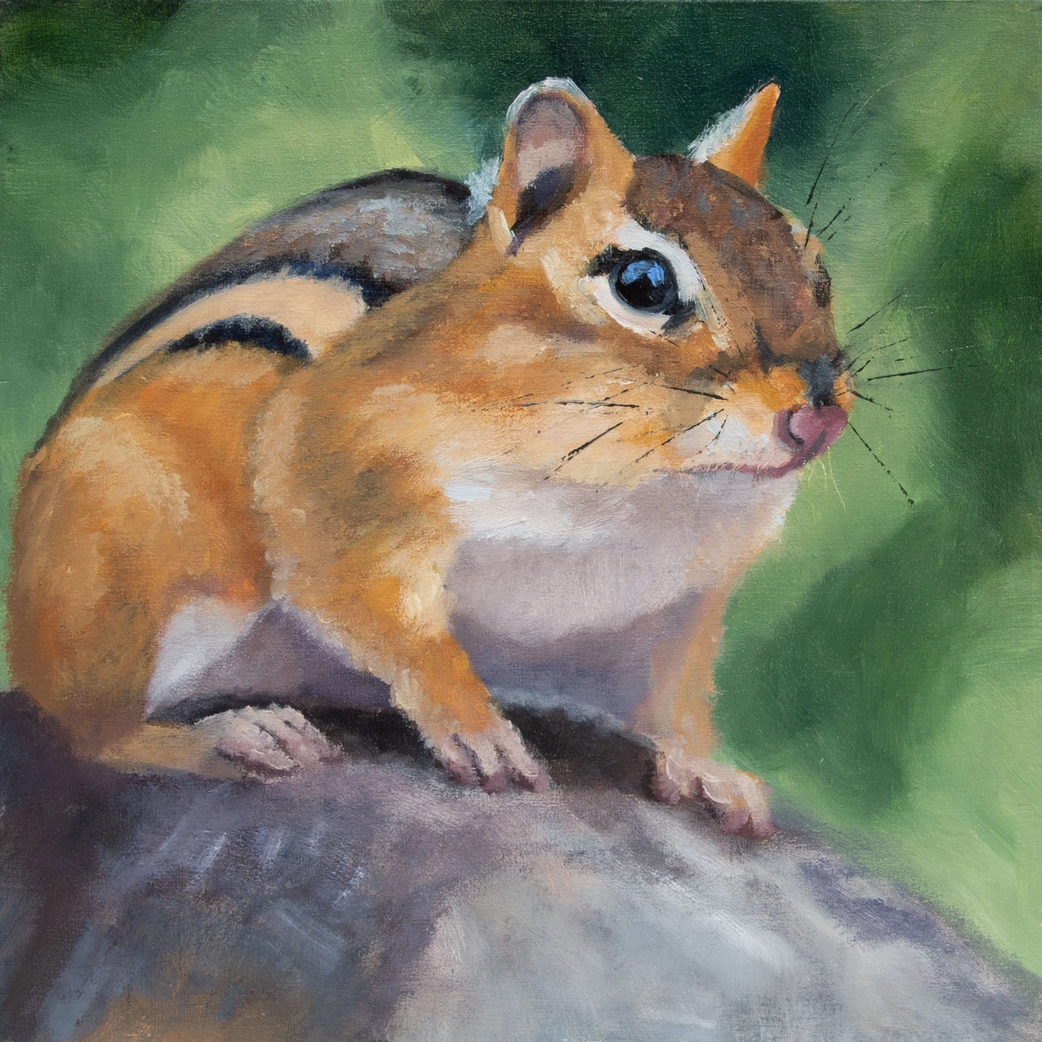 chipmunk.jpg