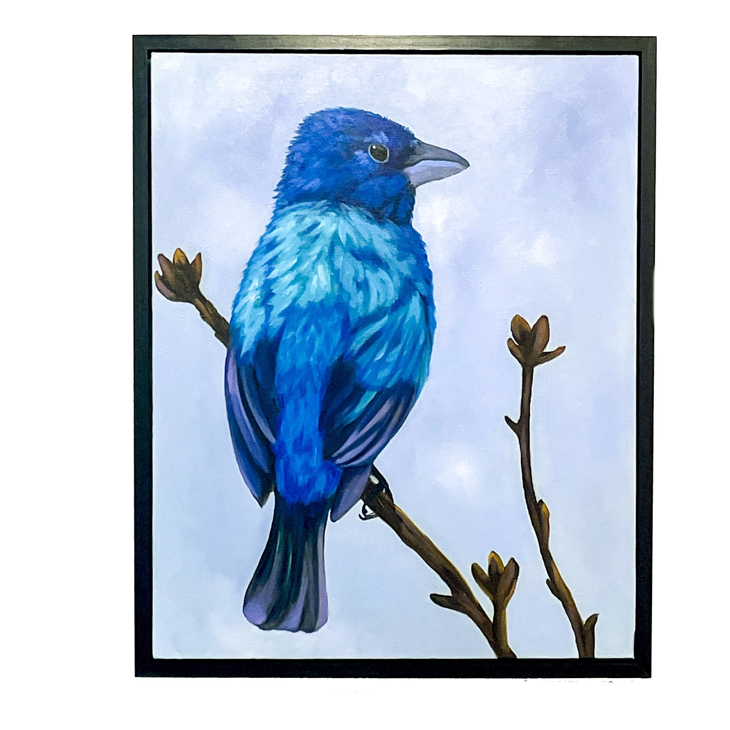 MaleIndigoBunting_Web.jpeg