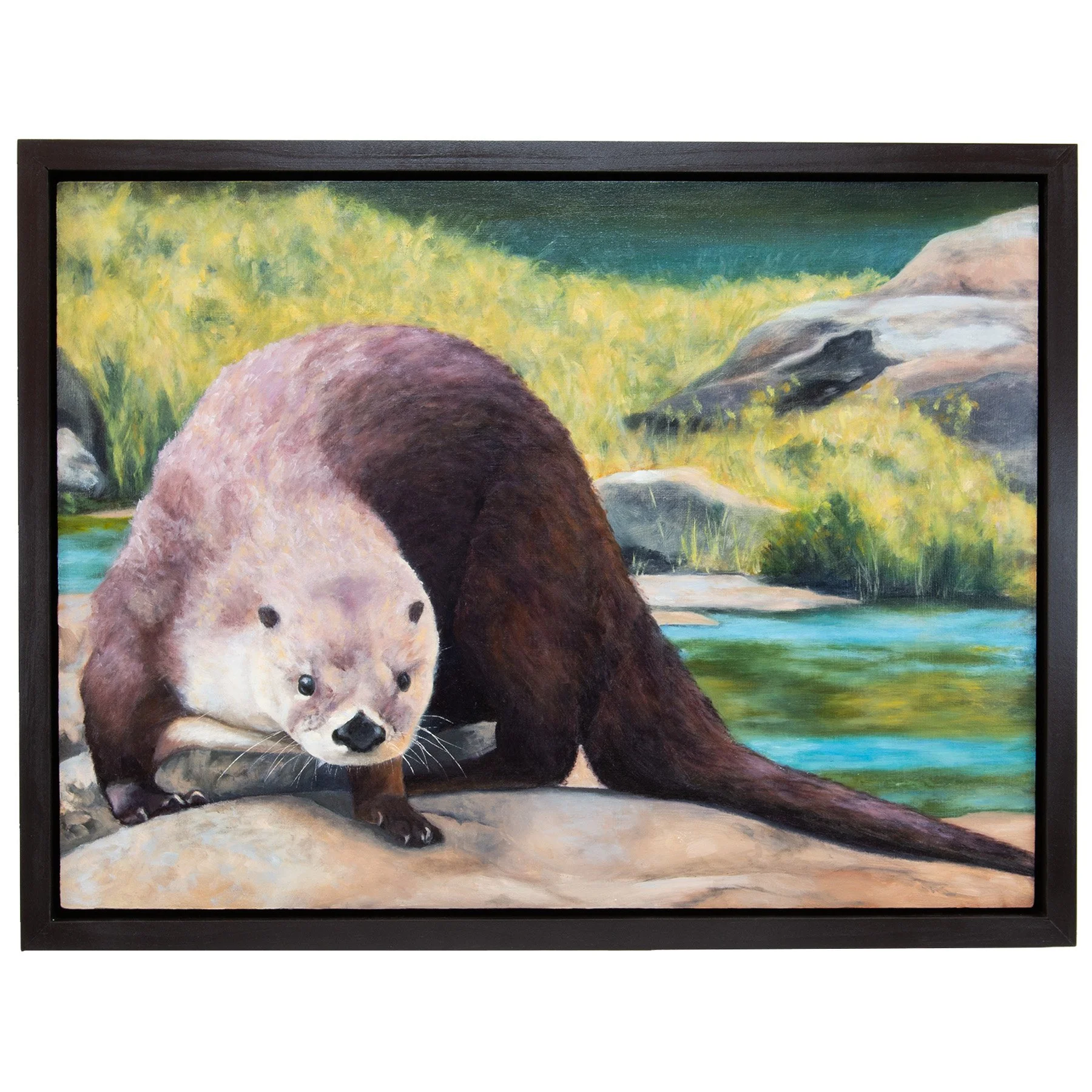 OtterFramed_Small.jpg