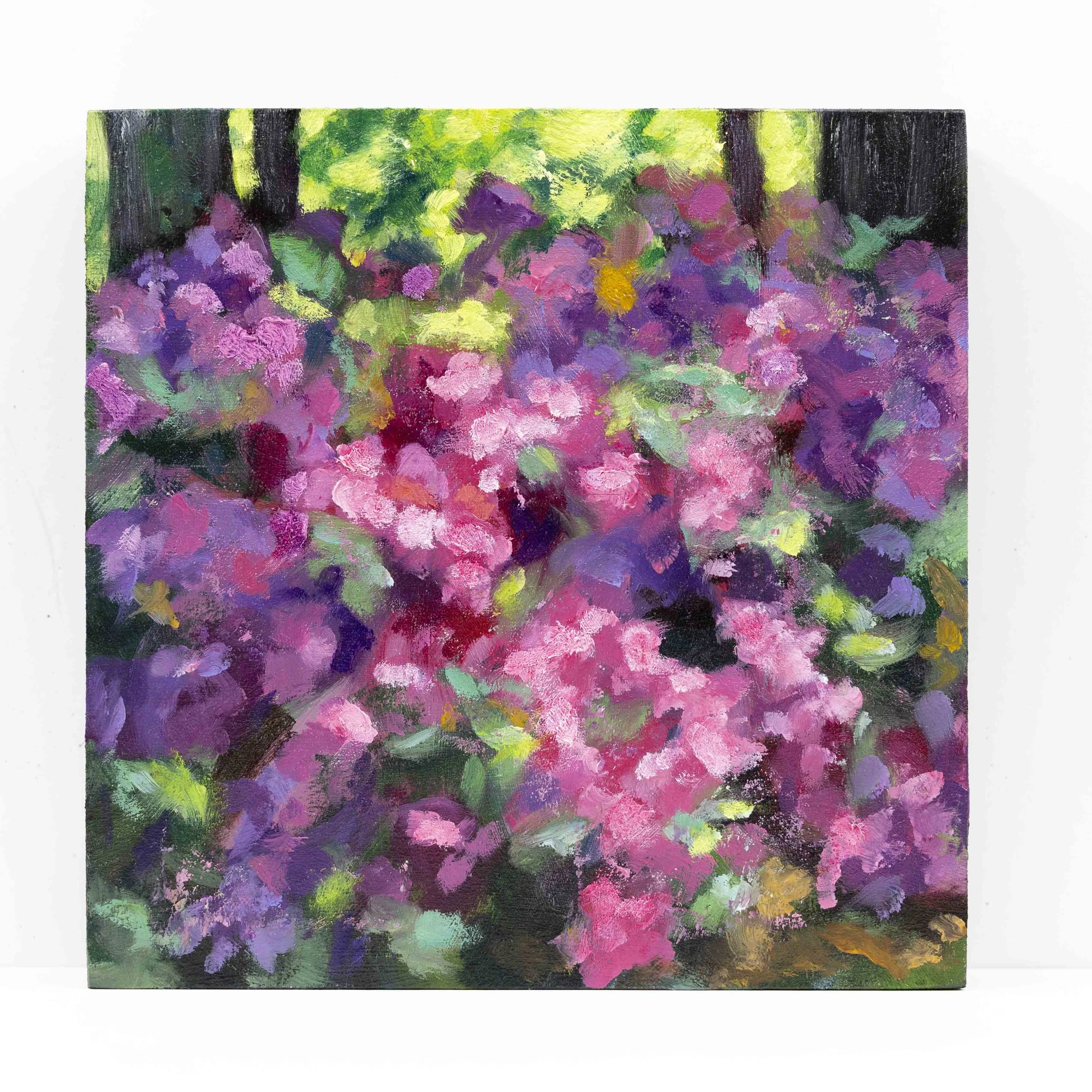 azaleas_catherinepurdy_square.jpg